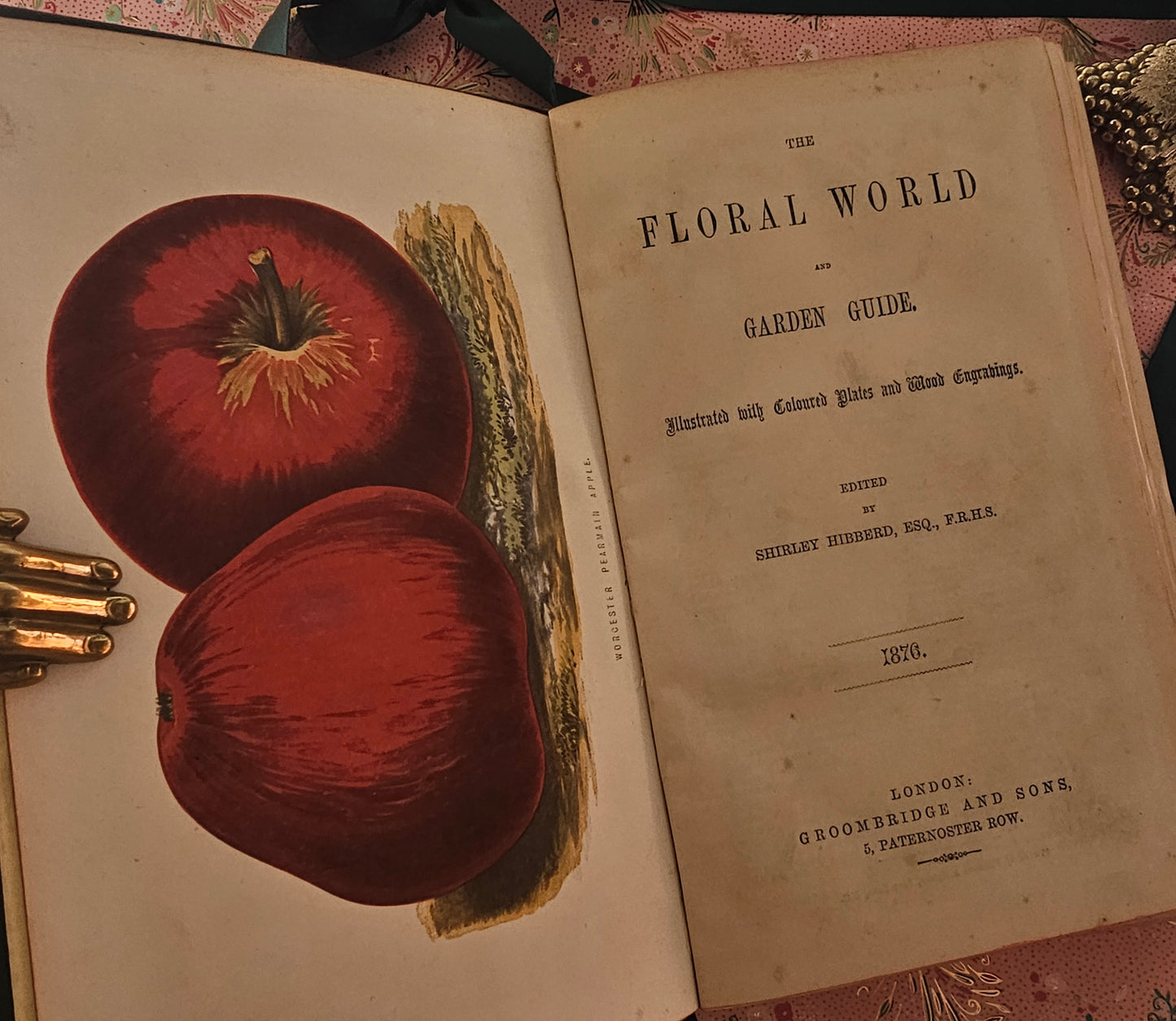 1876 The Floral World & Garden Guide by Shirley Hibberd / With 12 Beautiful Colour Plates Plus Wood Engraved Illustrations / Good Condition