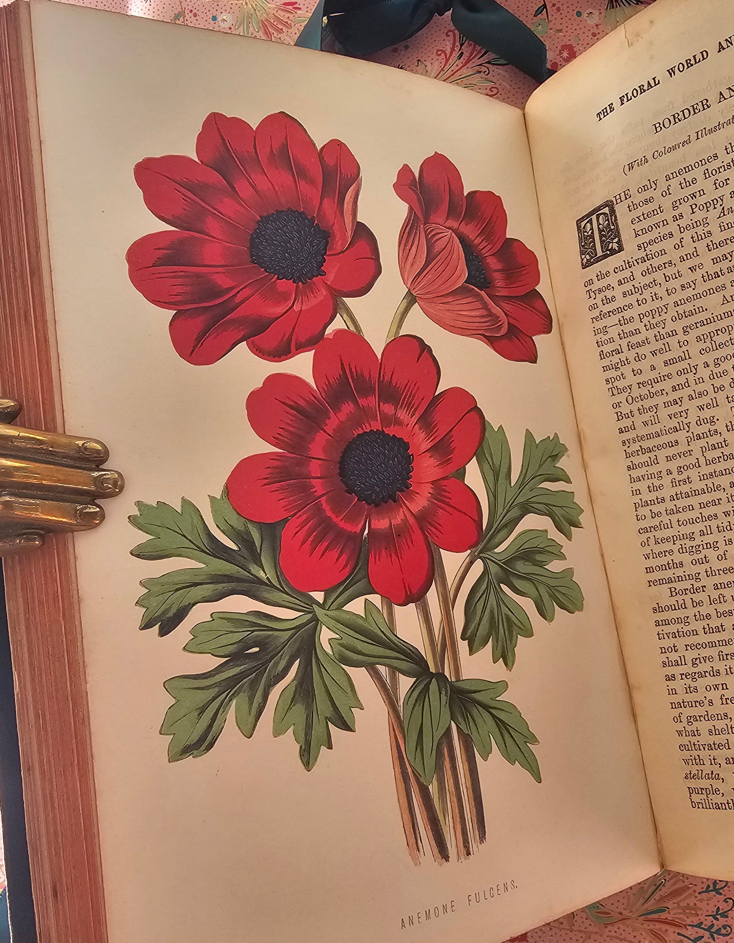 1876 The Floral World & Garden Guide by Shirley Hibberd / With 12 Beautiful Colour Plates Plus Wood Engraved Illustrations / Good Condition