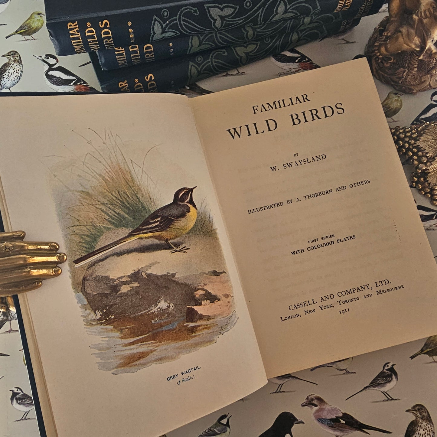 1911 Familiar Wild Birds by W Swaysland / Complete in Four Volumes / Cassell & Company, London / Good Condition / Filled With Colour Plates