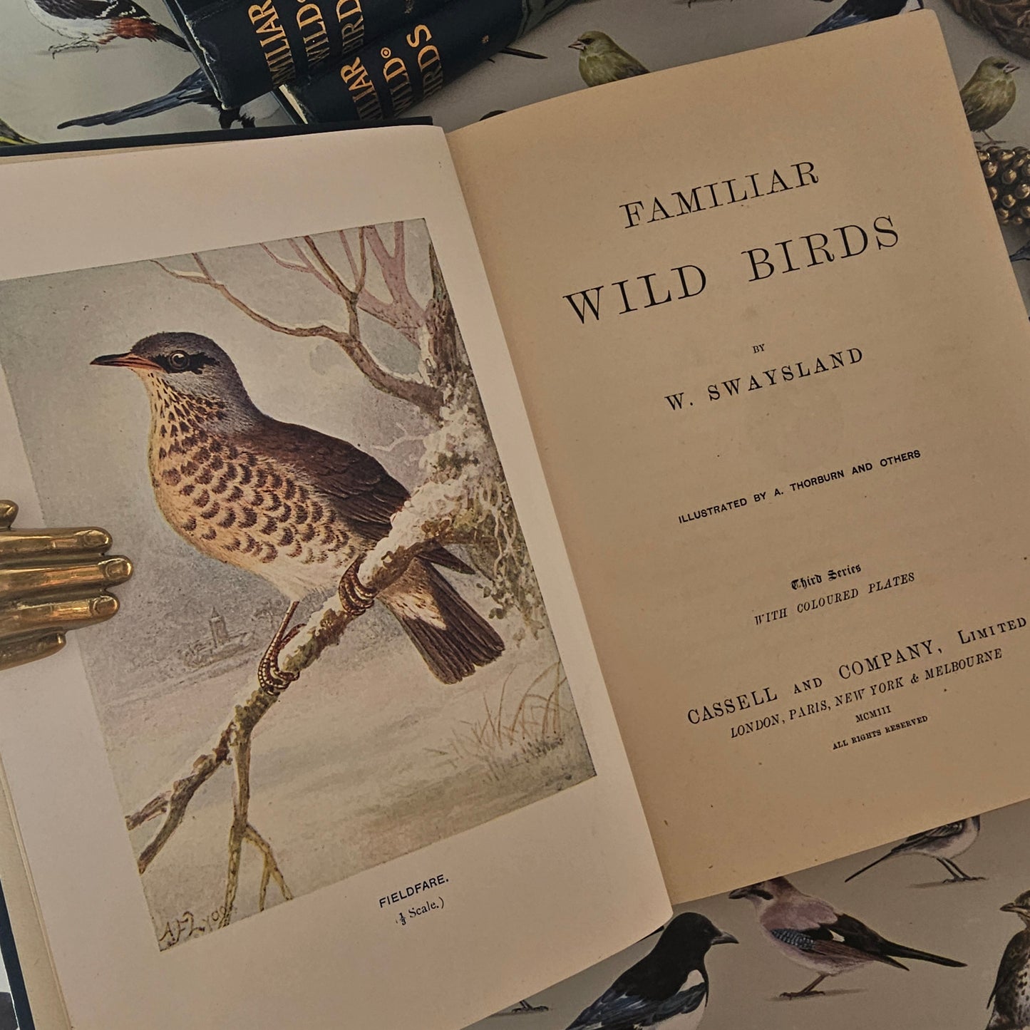 1911 Familiar Wild Birds by W Swaysland / Complete in Four Volumes / Cassell & Company, London / Good Condition / Filled With Colour Plates