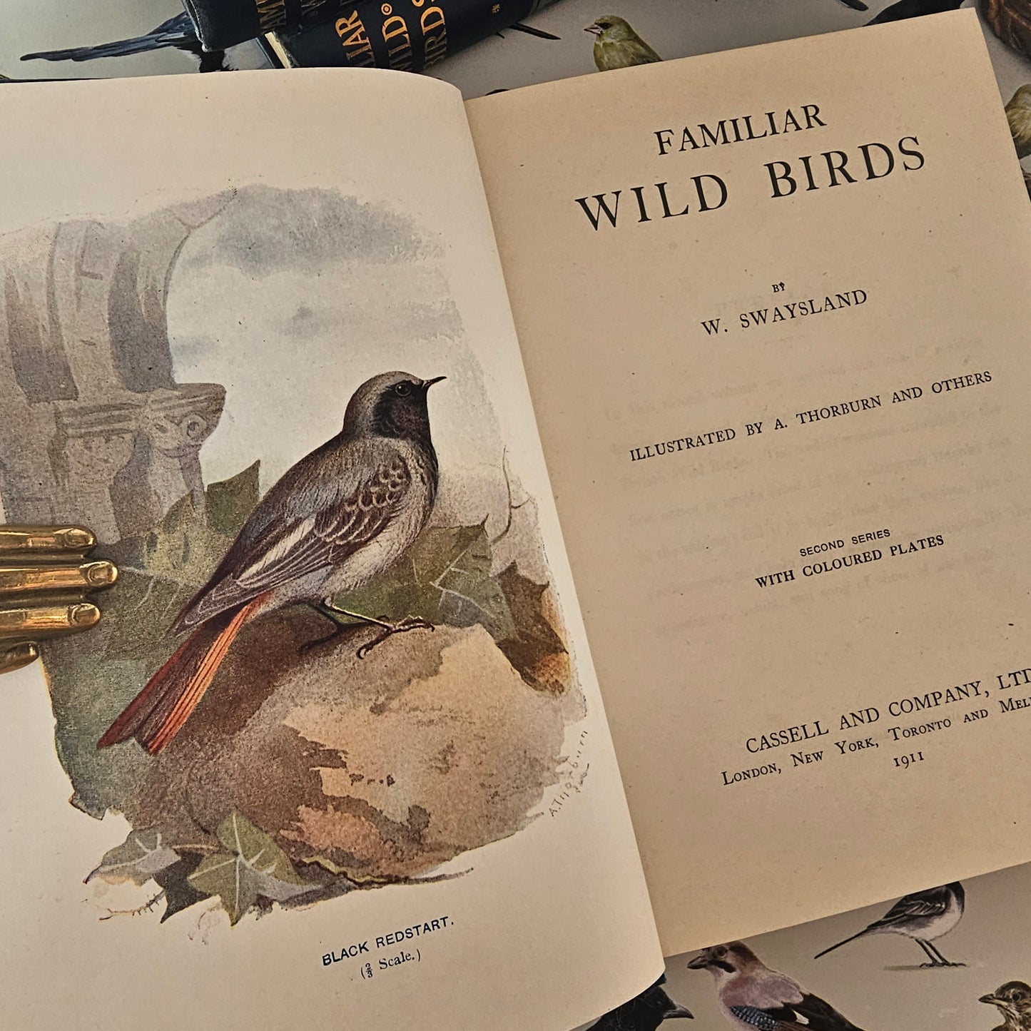 1911 Familiar Wild Birds by W Swaysland / Complete in Four Volumes / Cassell & Company, London / Good Condition / Filled With Colour Plates