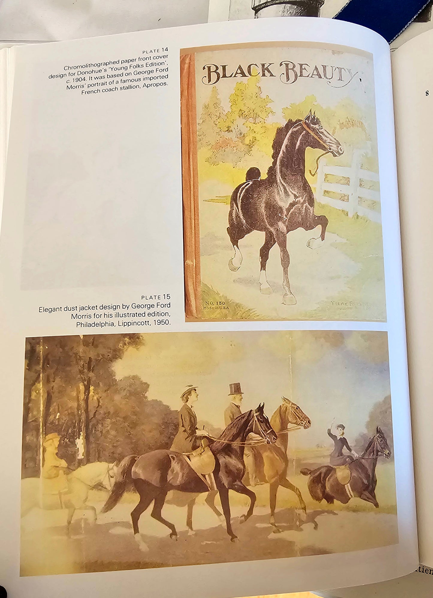 1989 The Annotated Black Beauty by Anna Sewell / JA Allen, London / Wonderful Comprehensive Goldmine of Information / Richly Illustrated