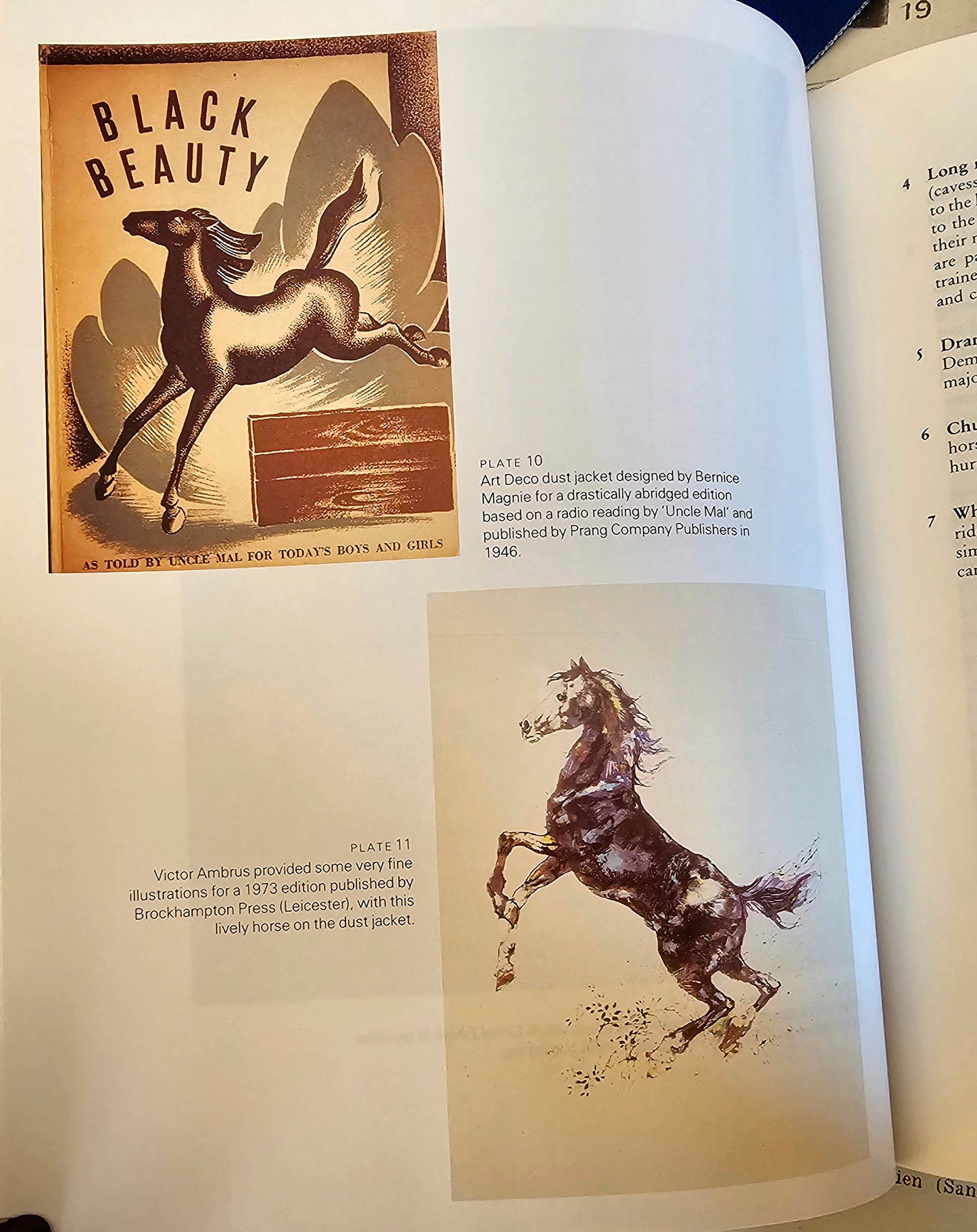 1989 The Annotated Black Beauty by Anna Sewell / JA Allen, London / Wonderful Comprehensive Goldmine of Information / Richly Illustrated