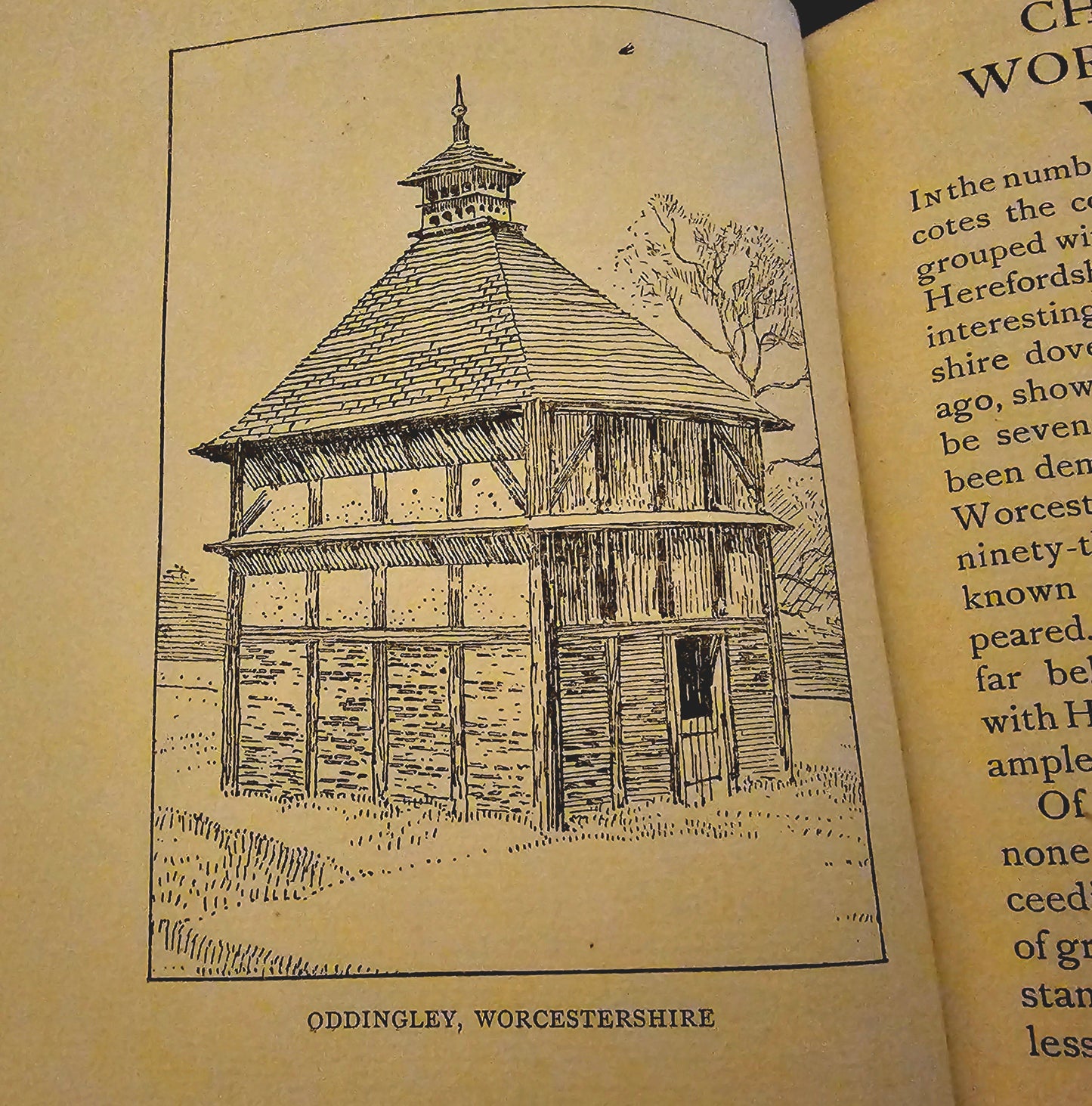 1920 A Book of Dovecotes by A Cooke / TN Foulis, London / Richly Illustrated / Fascinating History, Architecture and Location Guide