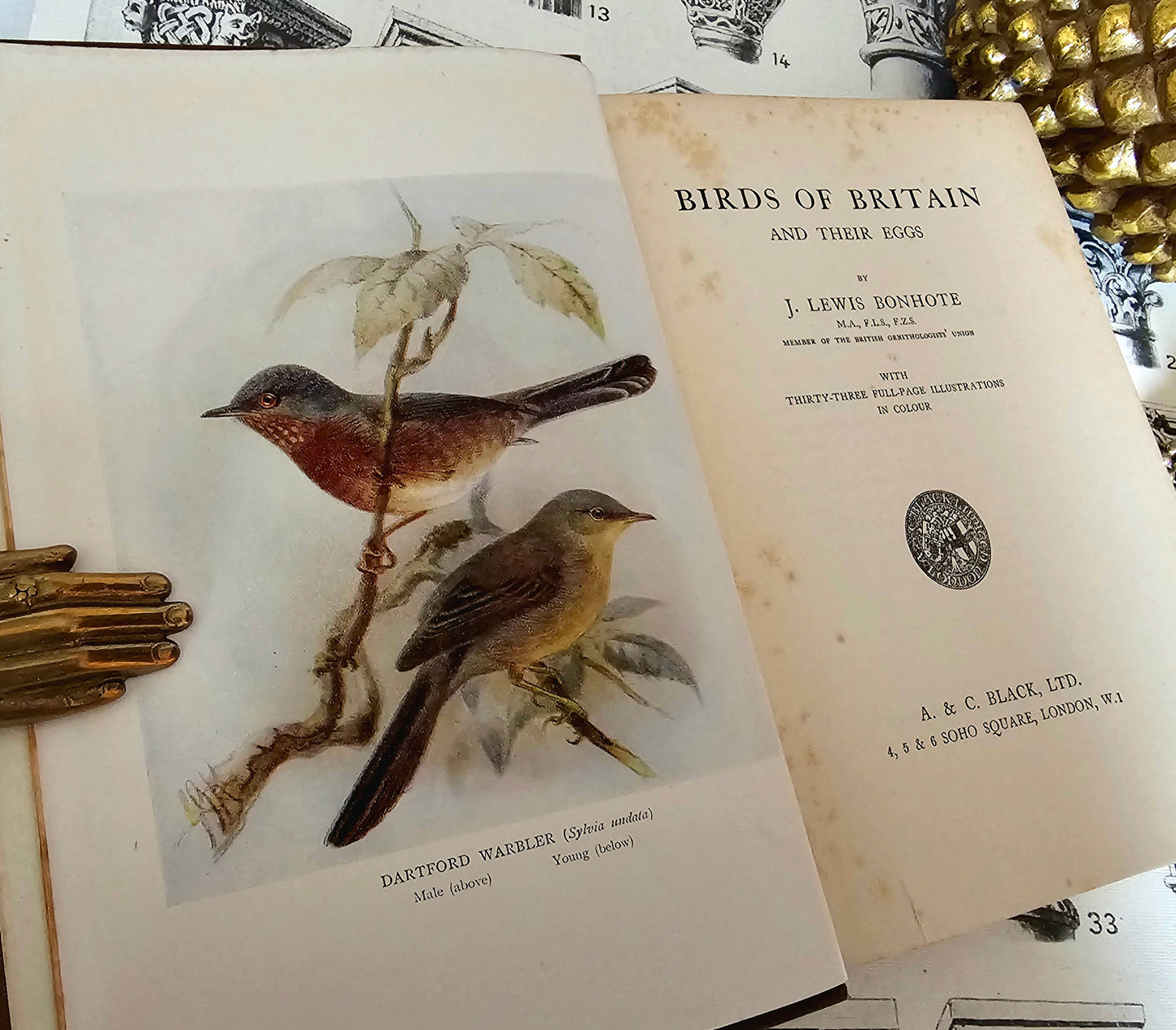 1923 Birds of Britain and Their Eggs by J Lewis Bonhote / A&C Black, London / Thirty-Three Beautiful Colour Plates / In Very Good Condition