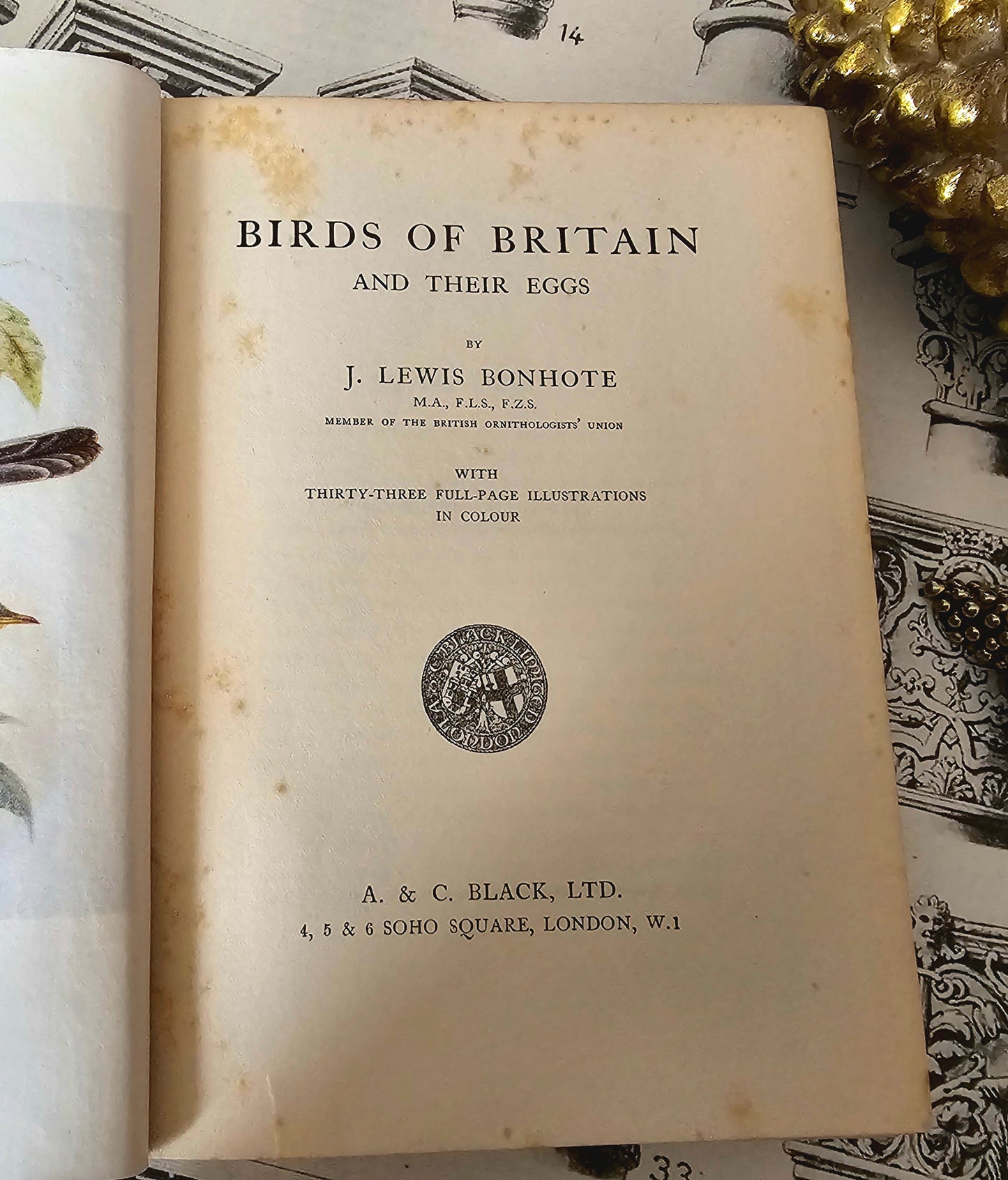 1923 Birds of Britain and Their Eggs by J Lewis Bonhote / A&C Black, London / Thirty-Three Beautiful Colour Plates / In Very Good Condition