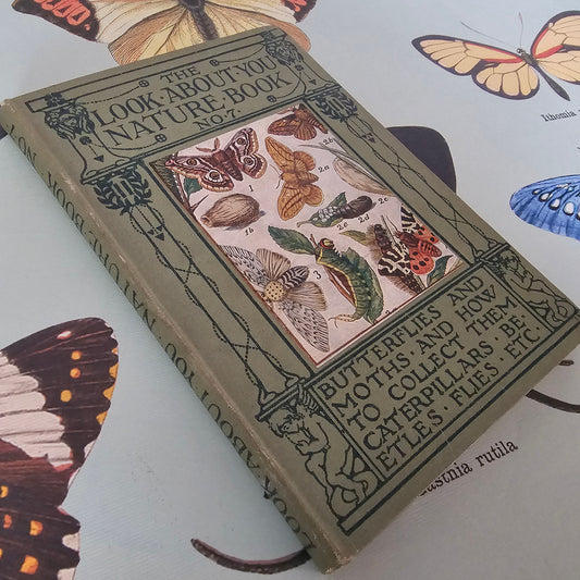 1910s Butterflies and Moths & How to Collect Them. Caterpillars, Beetles, Flies etc. / The Look About You Nature Study Books / Colour Plates