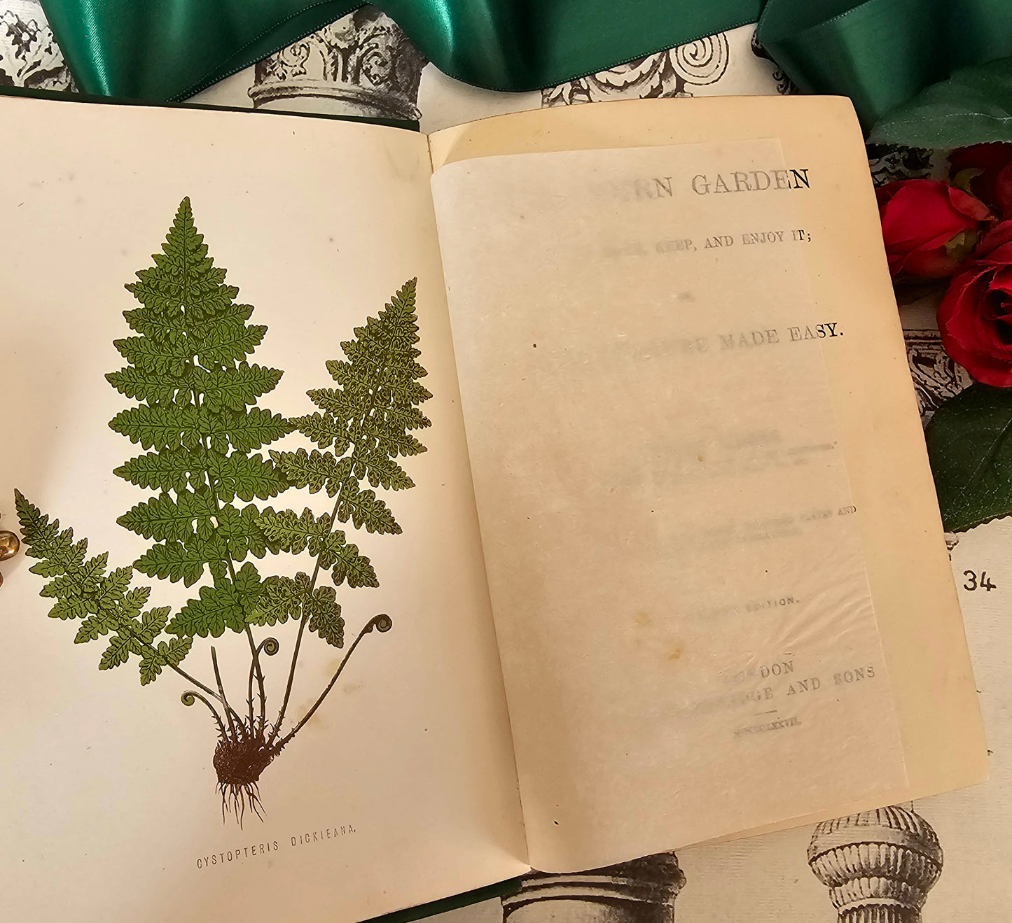 1877 The Fern Garden by Shirley Hibberd / Groombridge & Sons, London / With Eight Colour Plates and Forty Engravings / In Good Condition