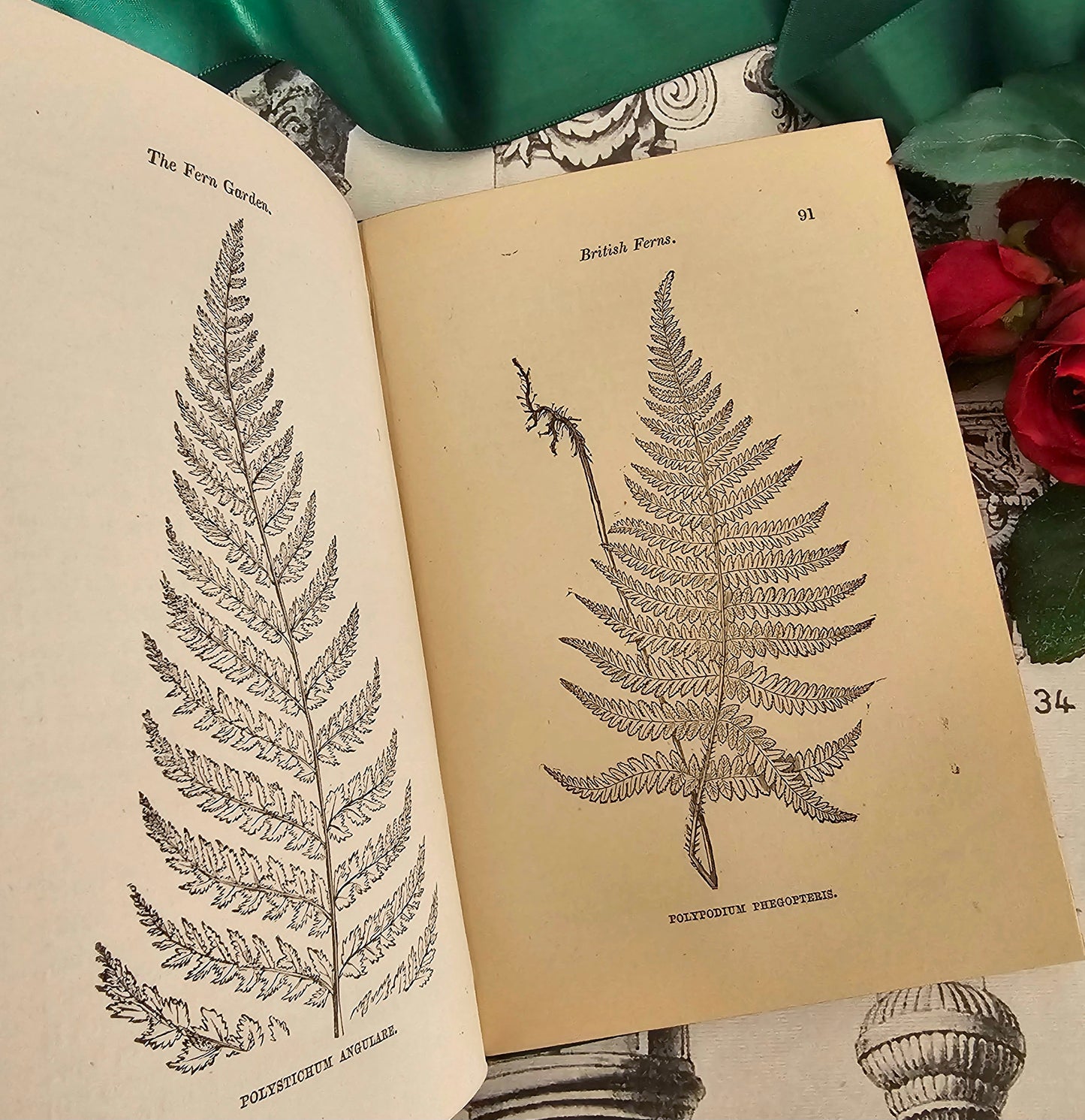 1877 The Fern Garden by Shirley Hibberd / Groombridge & Sons, London / With Eight Colour Plates and Forty Engravings / In Good Condition