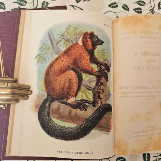 1896 & 1897 A Handbook to the Primates by Henry Forbes / 2 Volumes Complete / 41 Superb Colour Plates, Plus Fold Out Maps / Lloyds, London