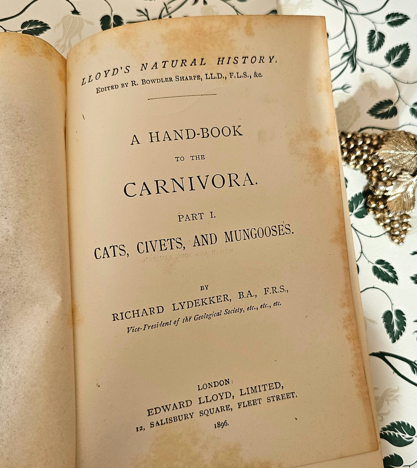 1896 Handbook to the Carnivora-Cats, Civets and Mungooses by Richard Lydekker / 32 Excellent Colour Plates / Good Condition / Lloyd, London