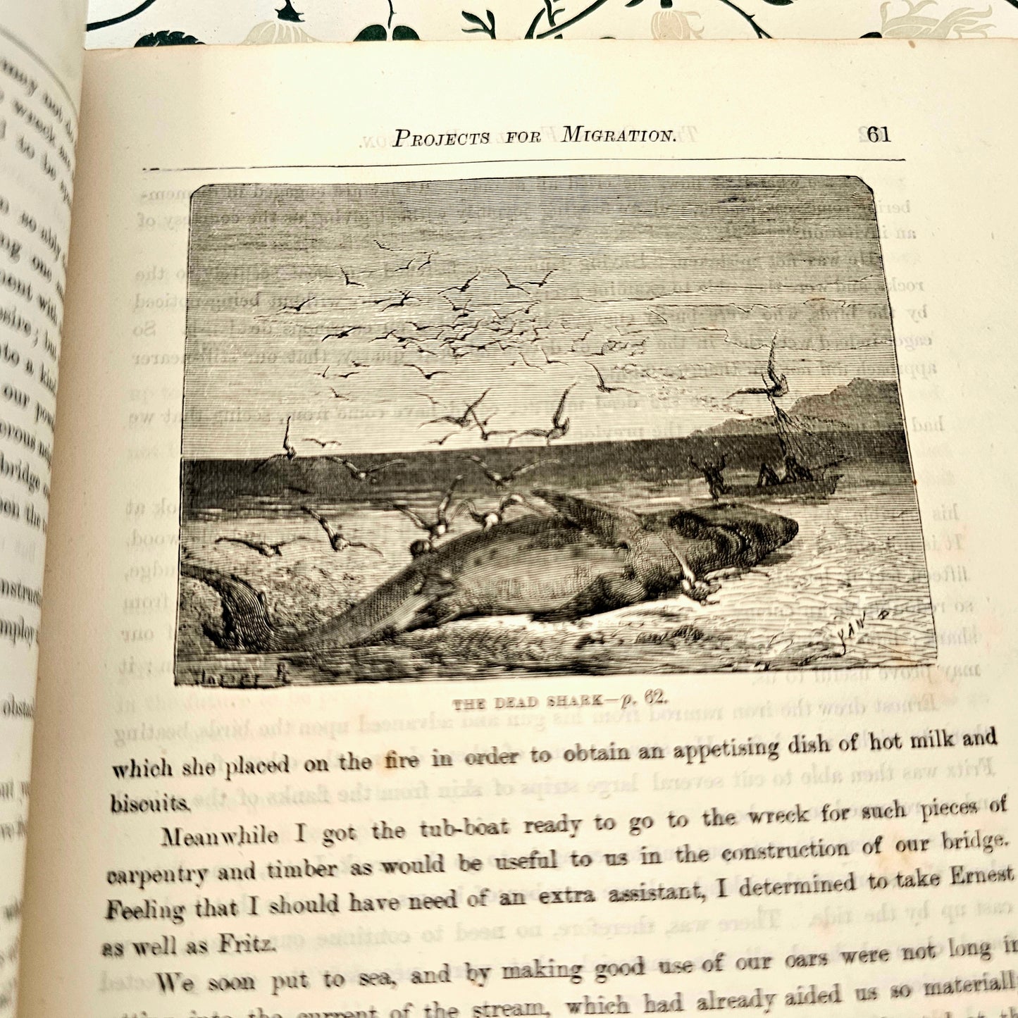 c1897 Swiss Family Robinson / Cassell & Company, London / Decorative Boards / Richly Illustrated Throughout With Engravings / Good Condition