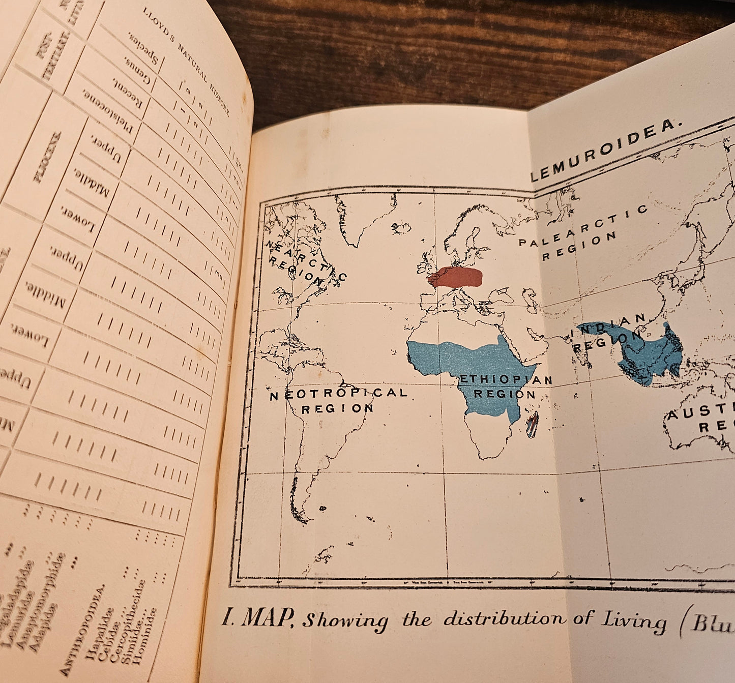 1896 & 1897 A Handbook to the Primates by Henry Forbes / 2 Volumes Complete / 41 Superb Colour Plates, Plus Fold Out Maps / Lloyds, London