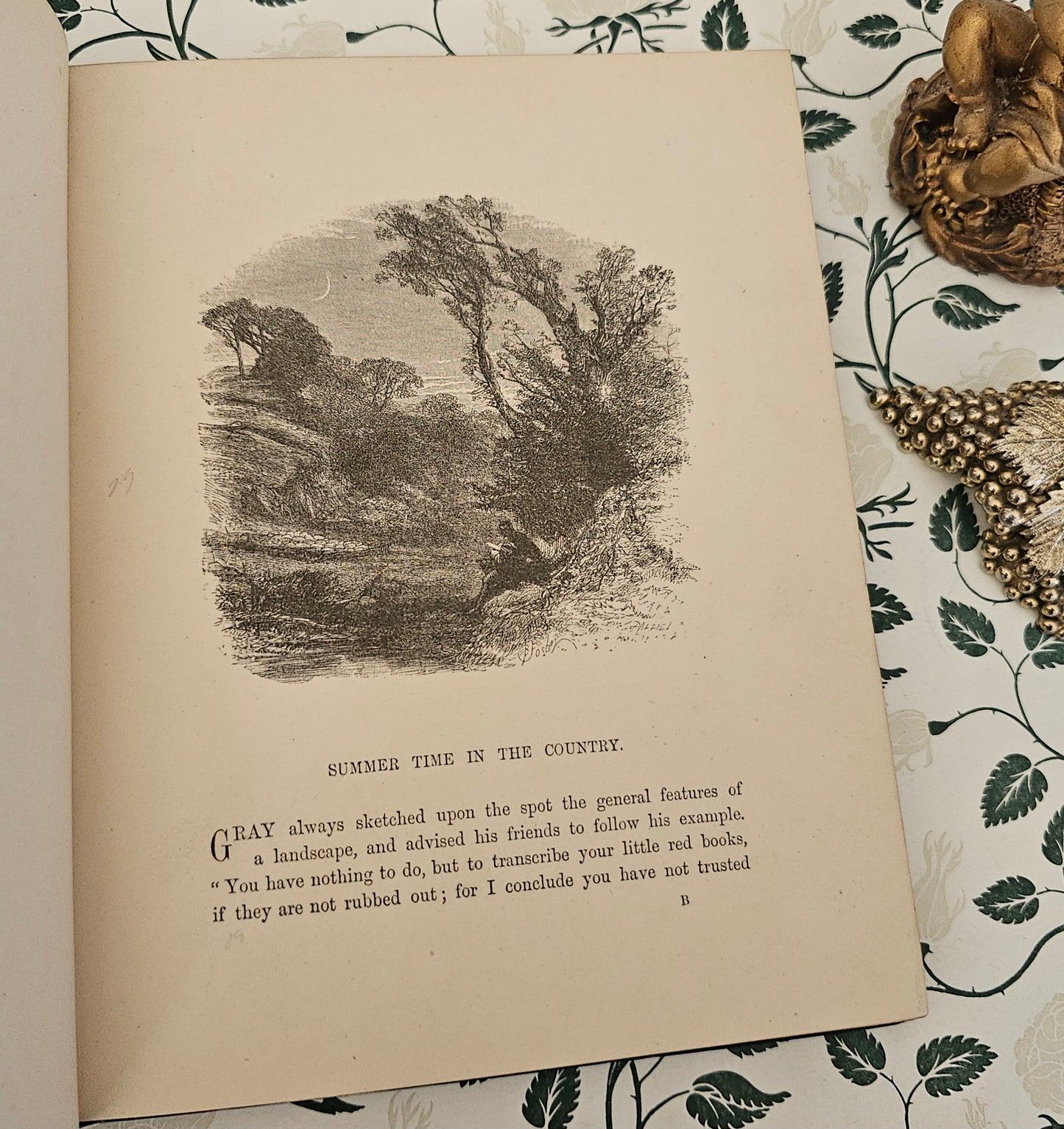1880 Summer Time in the Country By Rev Willmott / Excellent Condition / Richly Illustrated With Engravings / Beautiful Binding / Gilt Edges