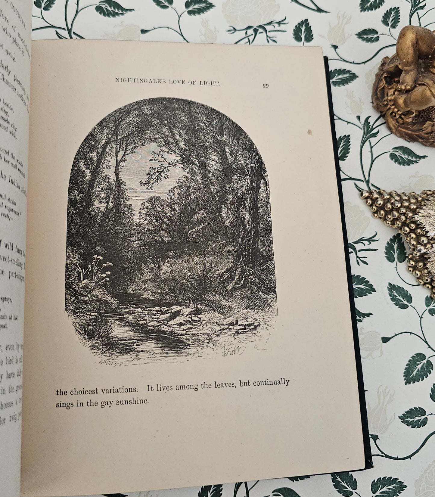 1880 Summer Time in the Country By Rev Willmott / Excellent Condition / Richly Illustrated With Engravings / Beautiful Binding / Gilt Edges