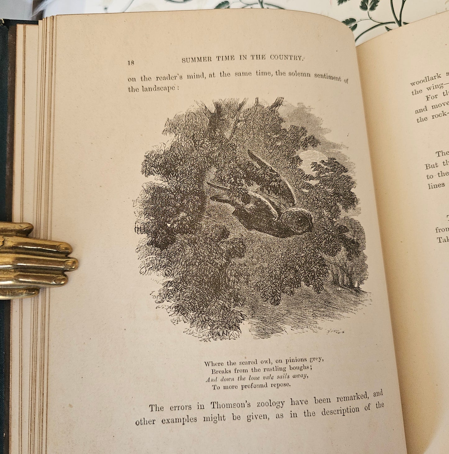 1880 Summer Time in the Country By Rev Willmott / Excellent Condition / Richly Illustrated With Engravings / Beautiful Binding / Gilt Edges