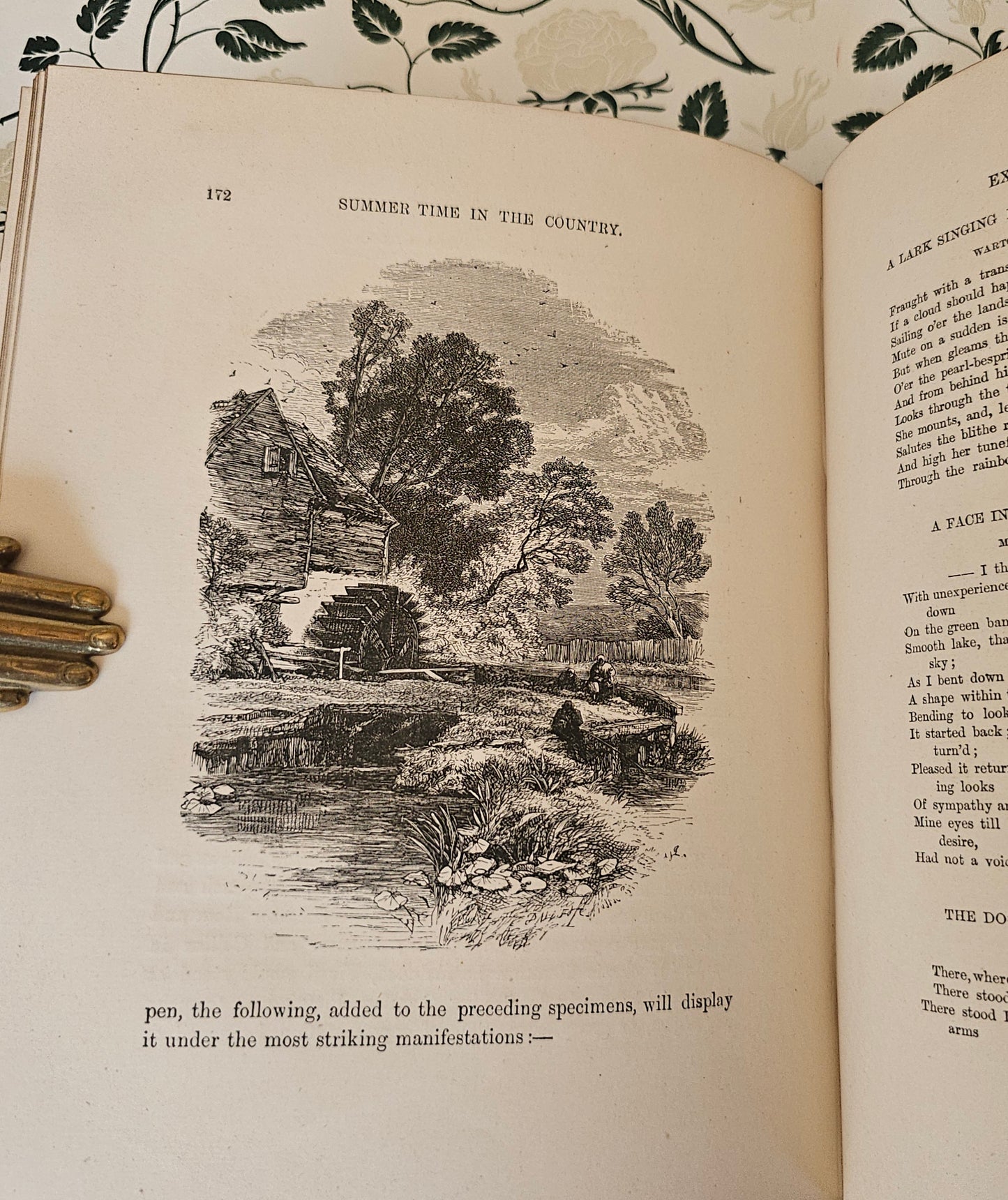 1880 Summer Time in the Country By Rev Willmott / Excellent Condition / Richly Illustrated With Engravings / Beautiful Binding / Gilt Edges