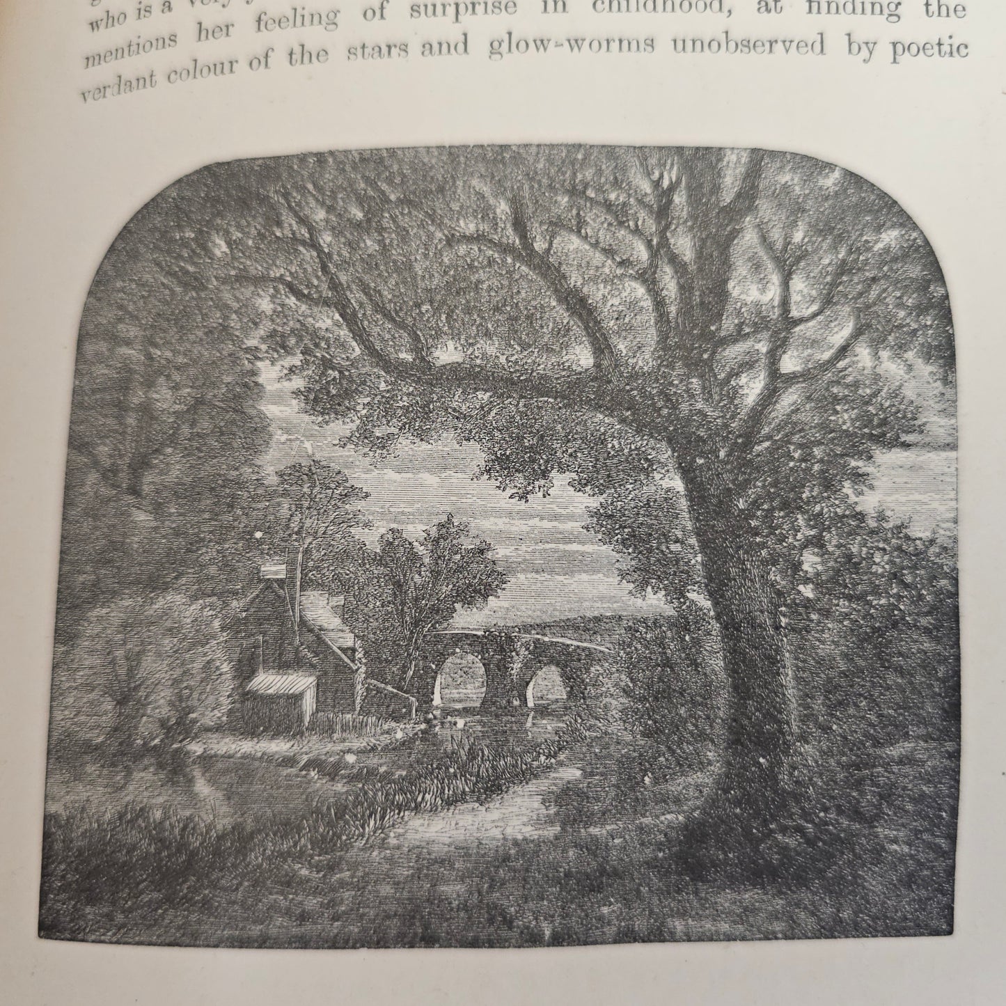 1880 Summer Time in the Country By Rev Willmott / Excellent Condition / Richly Illustrated With Engravings / Beautiful Binding / Gilt Edges
