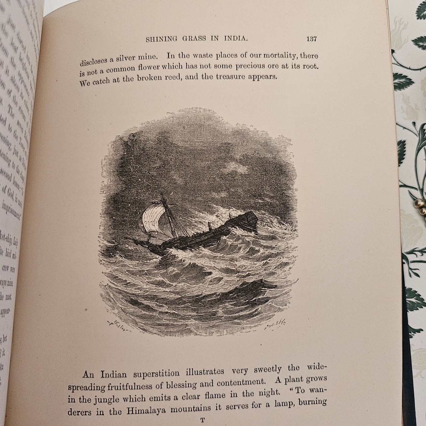 1880 Summer Time in the Country By Rev Willmott / Excellent Condition / Richly Illustrated With Engravings / Beautiful Binding / Gilt Edges