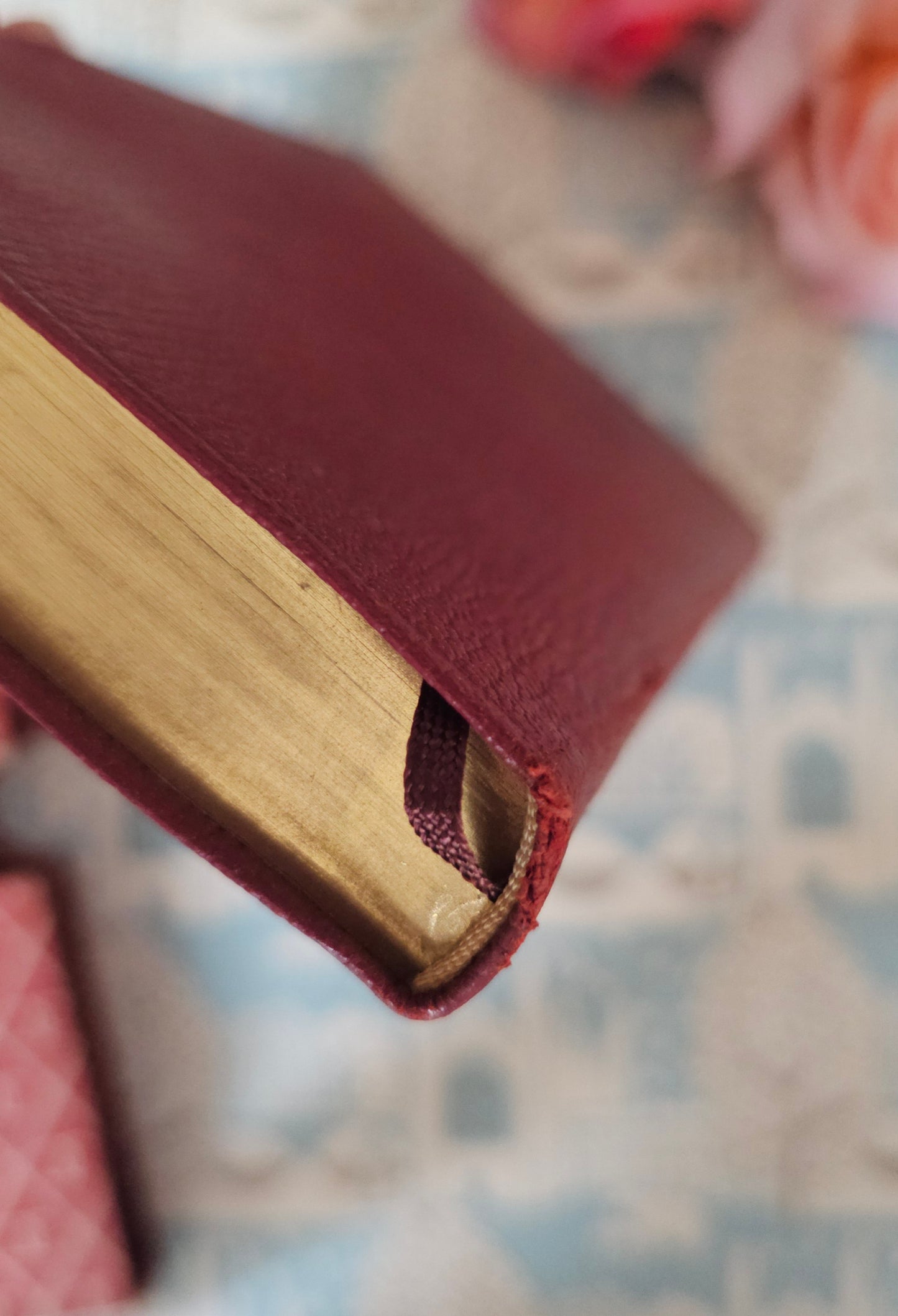 1953 Shirley by Jane Austen / Collins, London / Elegant Vintage Faux Leather Copy in Original Slipcase Box / In Very Good Condition