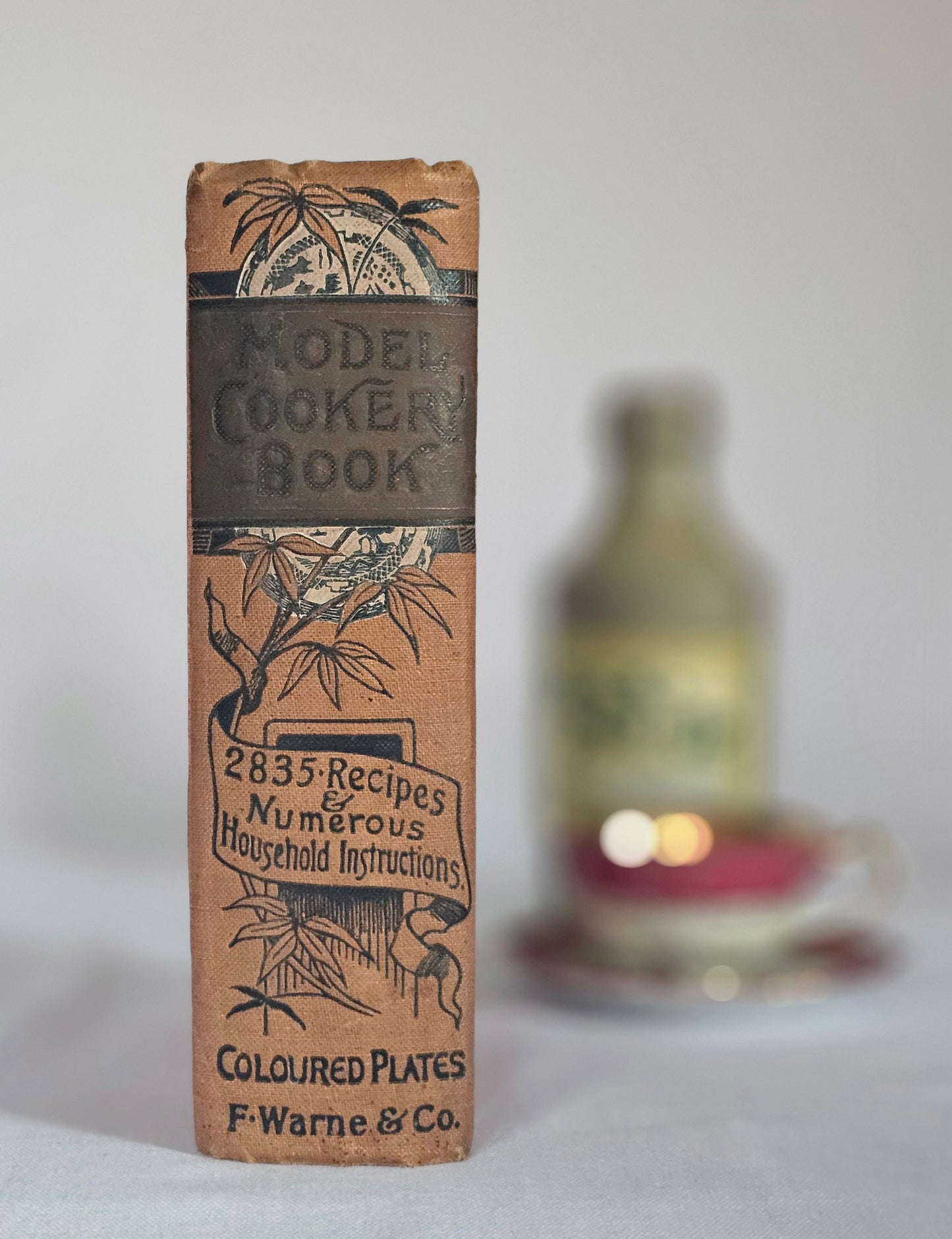 c1900 Warne's Model Cookery - With Complete Instructions in Household Management / Frederick Warne & Co., London / Four Colour Plates