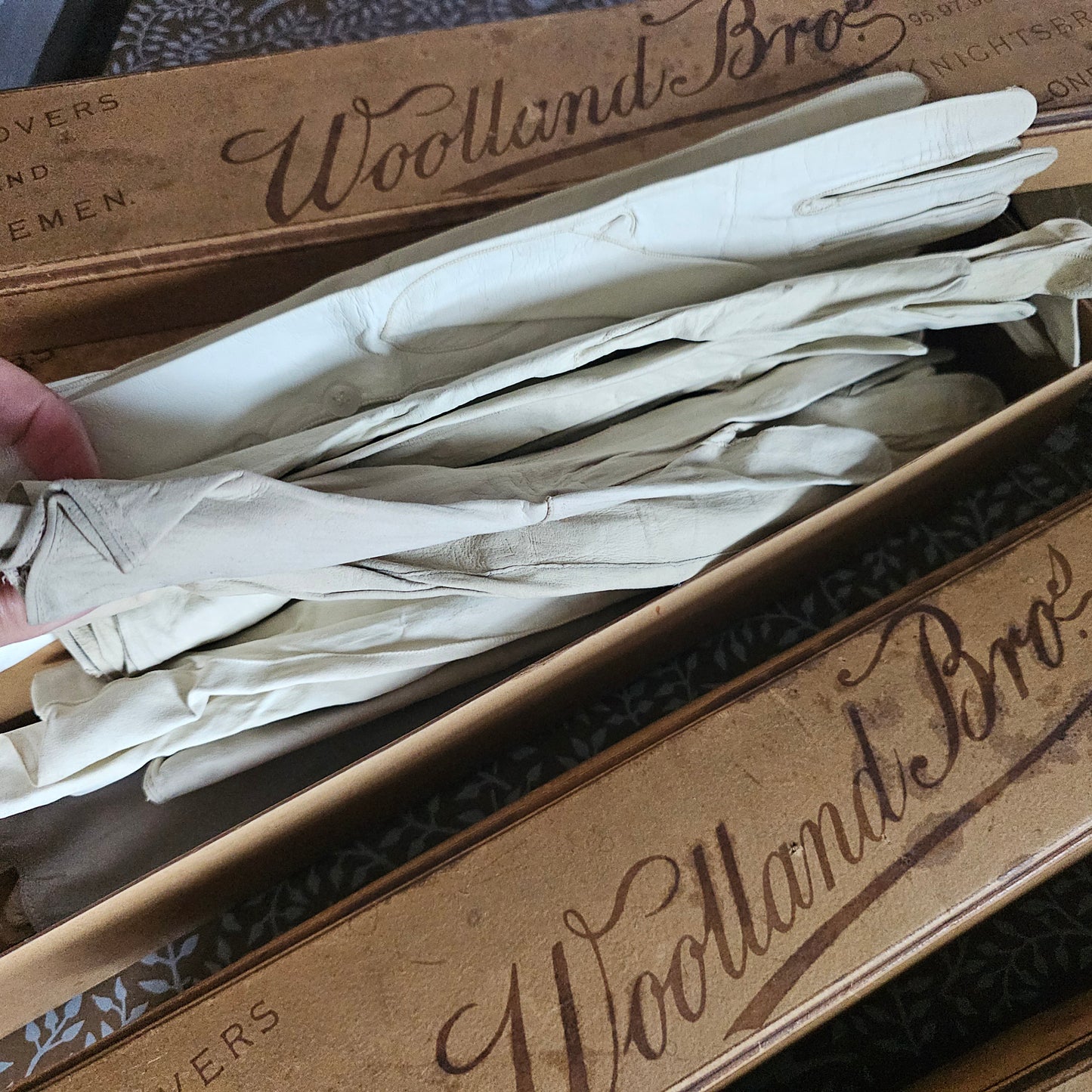 25 Pairs of Antique Kid Leather Gloves / Majority Un-Worn and Still in the Original Department Store Boxes and Tissue / Opera and Day Gloves