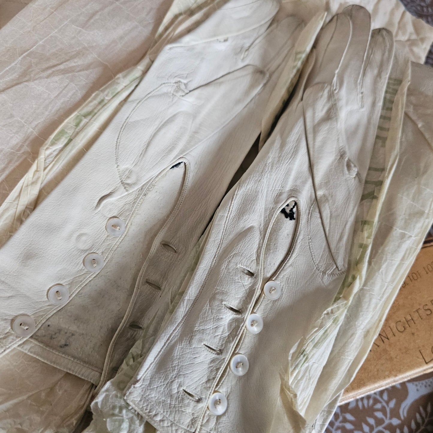 25 Pairs of Antique Kid Leather Gloves / Majority Un-Worn and Still in the Original Department Store Boxes and Tissue / Opera and Day Gloves