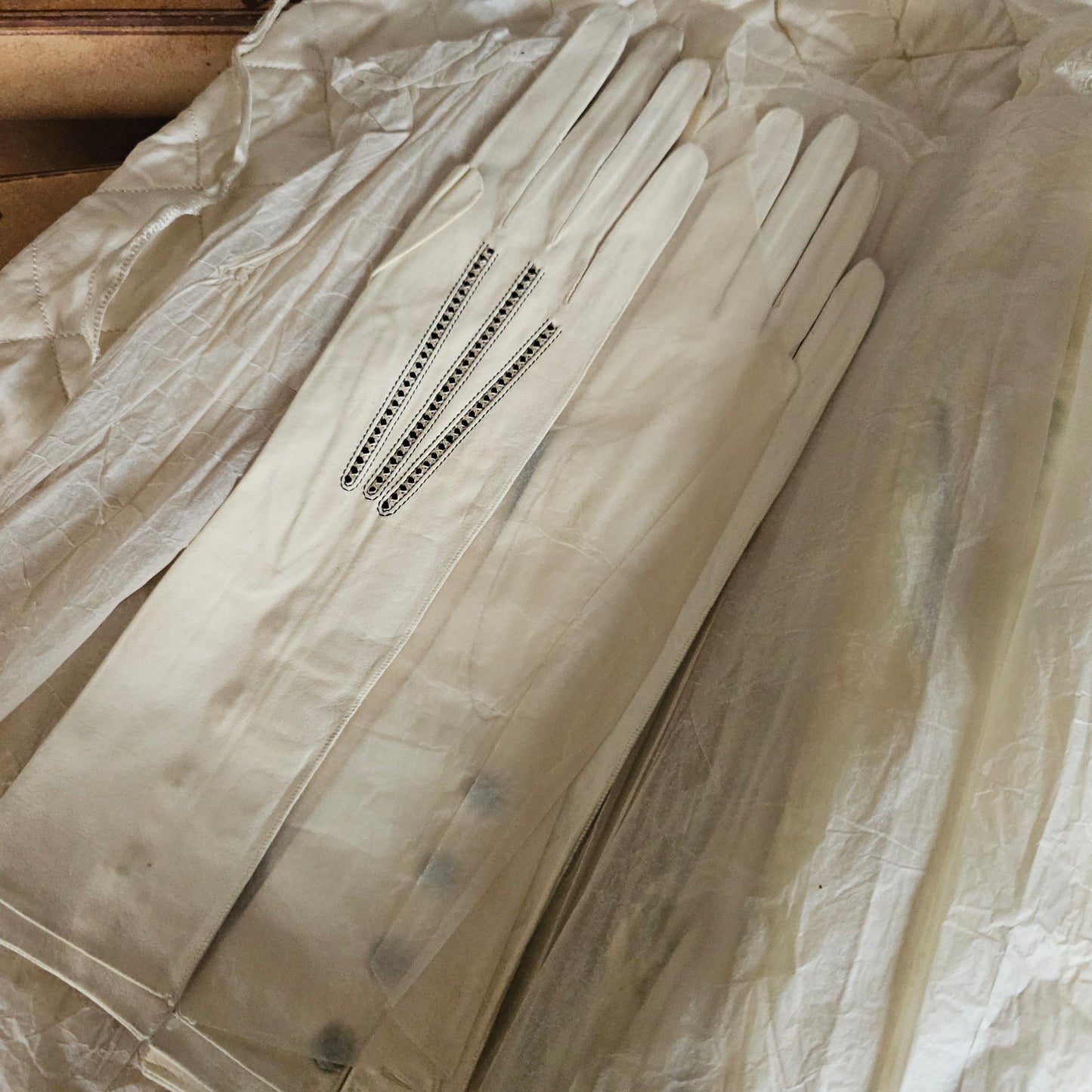 25 Pairs of Antique Kid Leather Gloves / Majority Un-Worn and Still in the Original Department Store Boxes and Tissue / Opera and Day Gloves