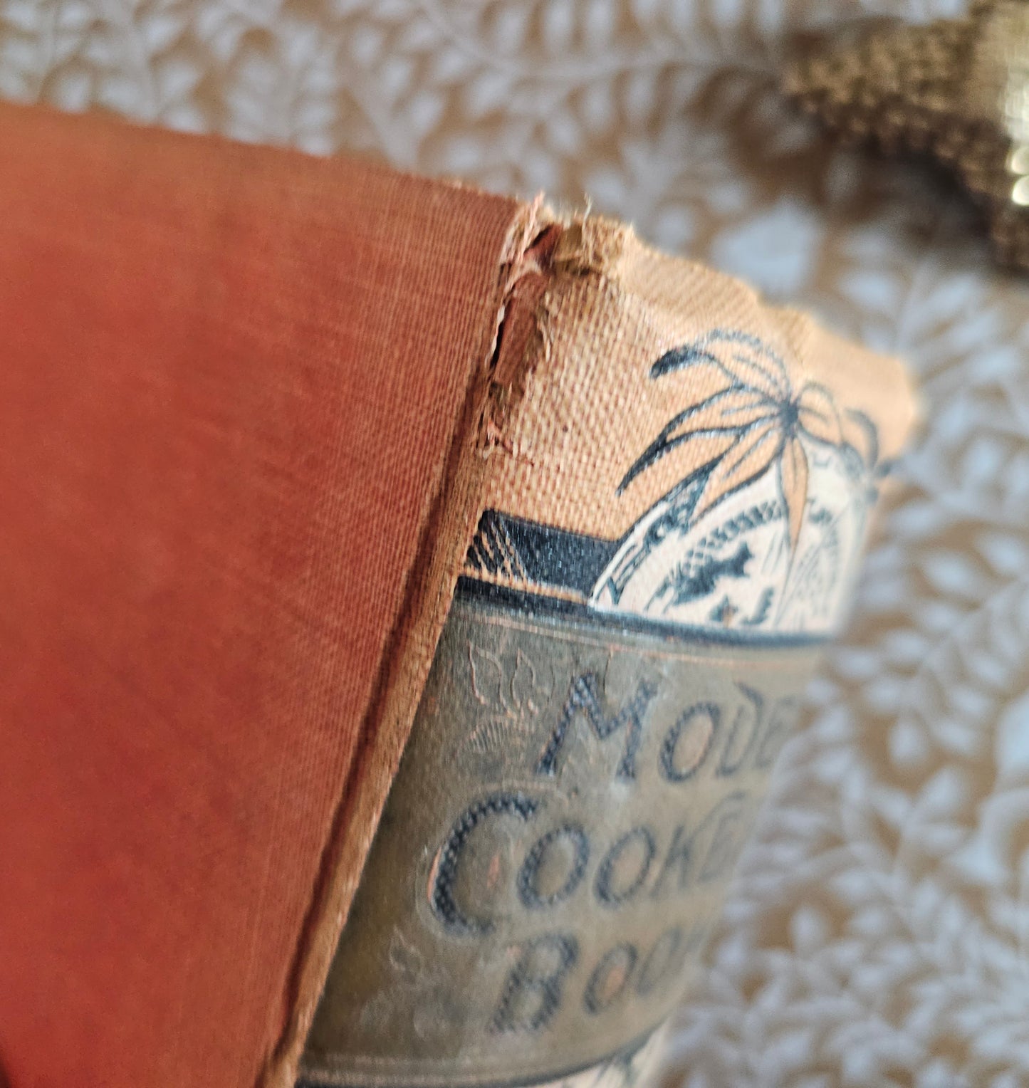 c1900 Warne's Model Cookery - With Complete Instructions in Household Management / Frederick Warne & Co., London / Four Colour Plates