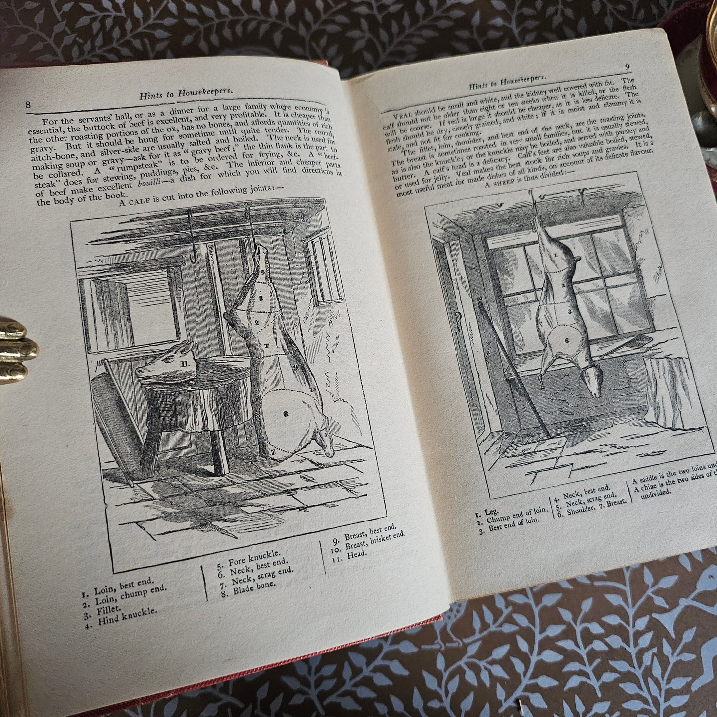 c1900 Warne's Model Cookery - With Complete Instructions in Household Management / Frederick Warne & Co., London / Four Colour Plates