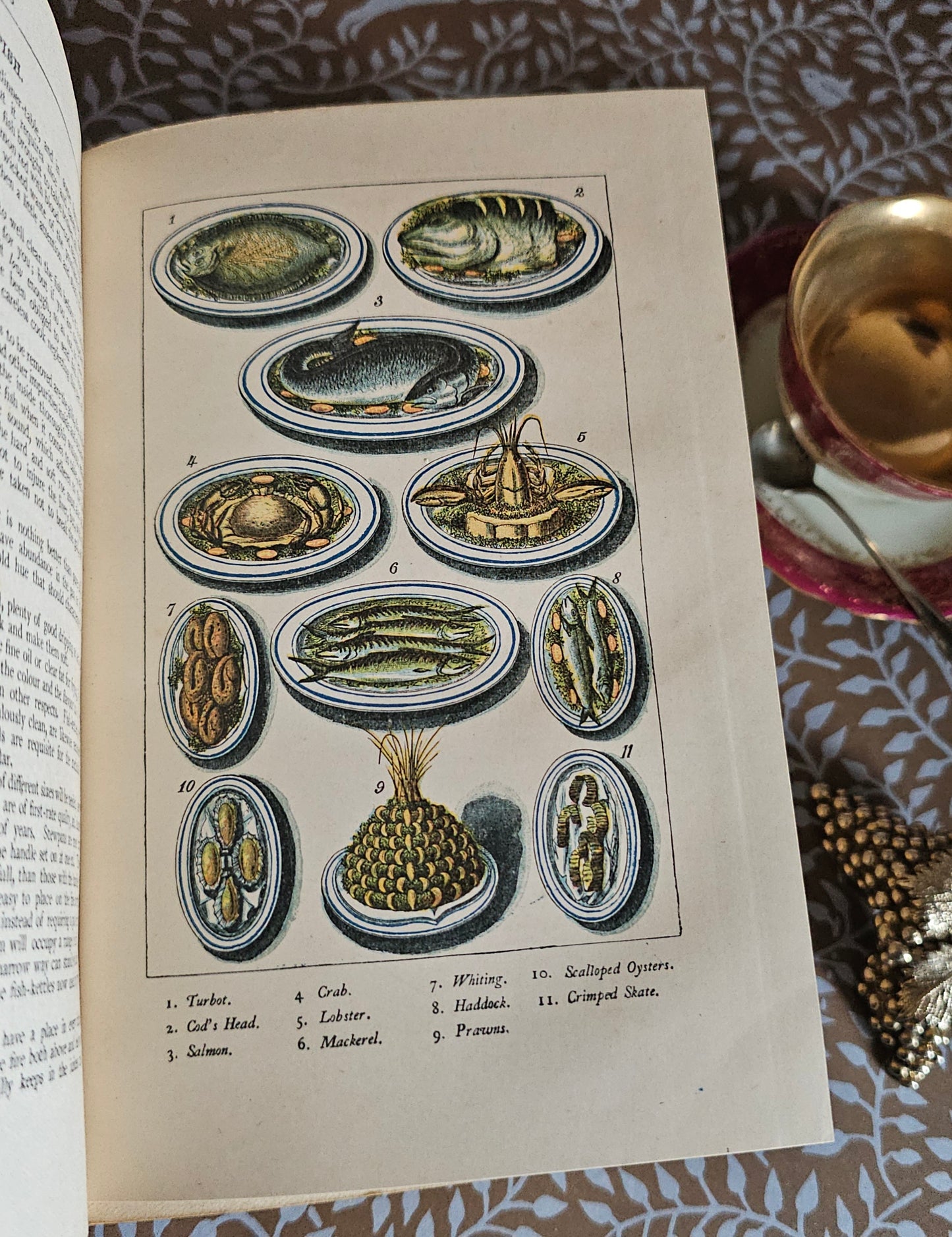 c1900 Warne's Model Cookery - With Complete Instructions in Household Management / Frederick Warne & Co., London / Four Colour Plates