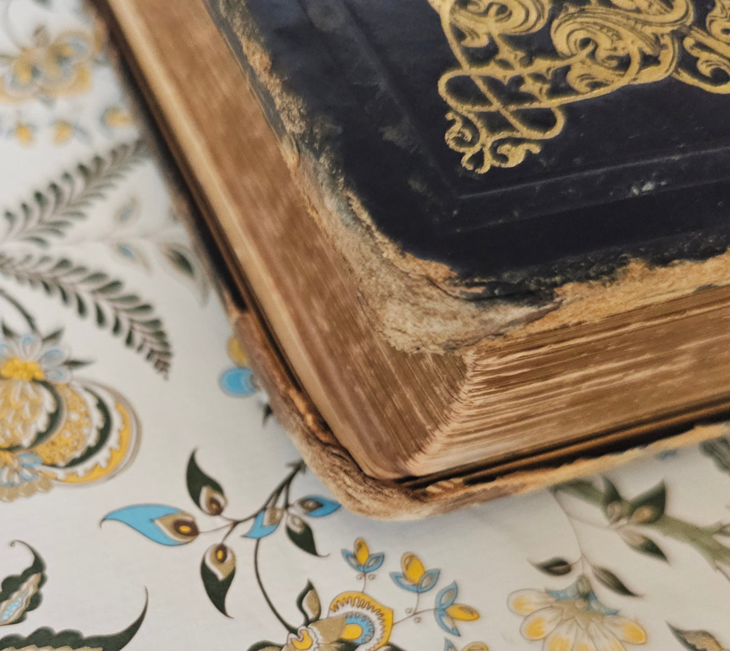 1846 Reynard the Fox (Reineke Fuchs) / Beautiful Antique 1st Ed, 1st Printing / 36 Engravings by von Kaulbach / Gorgeous Edition / IN GERMAN