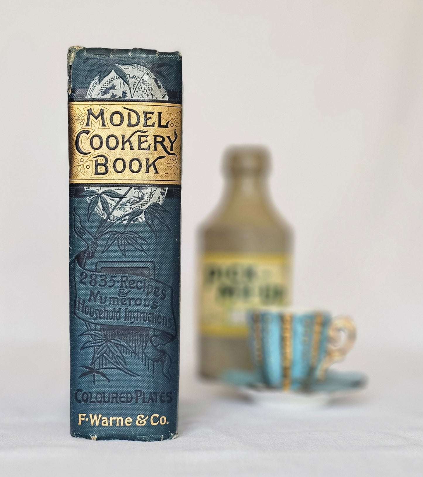 Antique Cookery Book: Warne's Model, 1920s, Household Management, Six Colour Plates