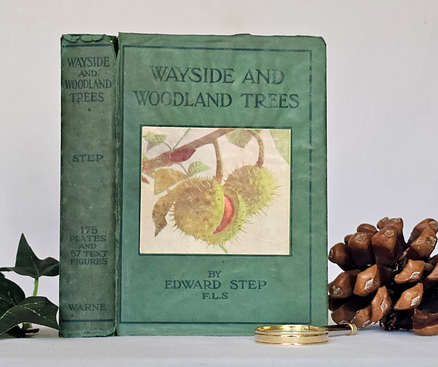 1940 Wayside and Woodland Trees by Edward Step / 24 Colour Plates