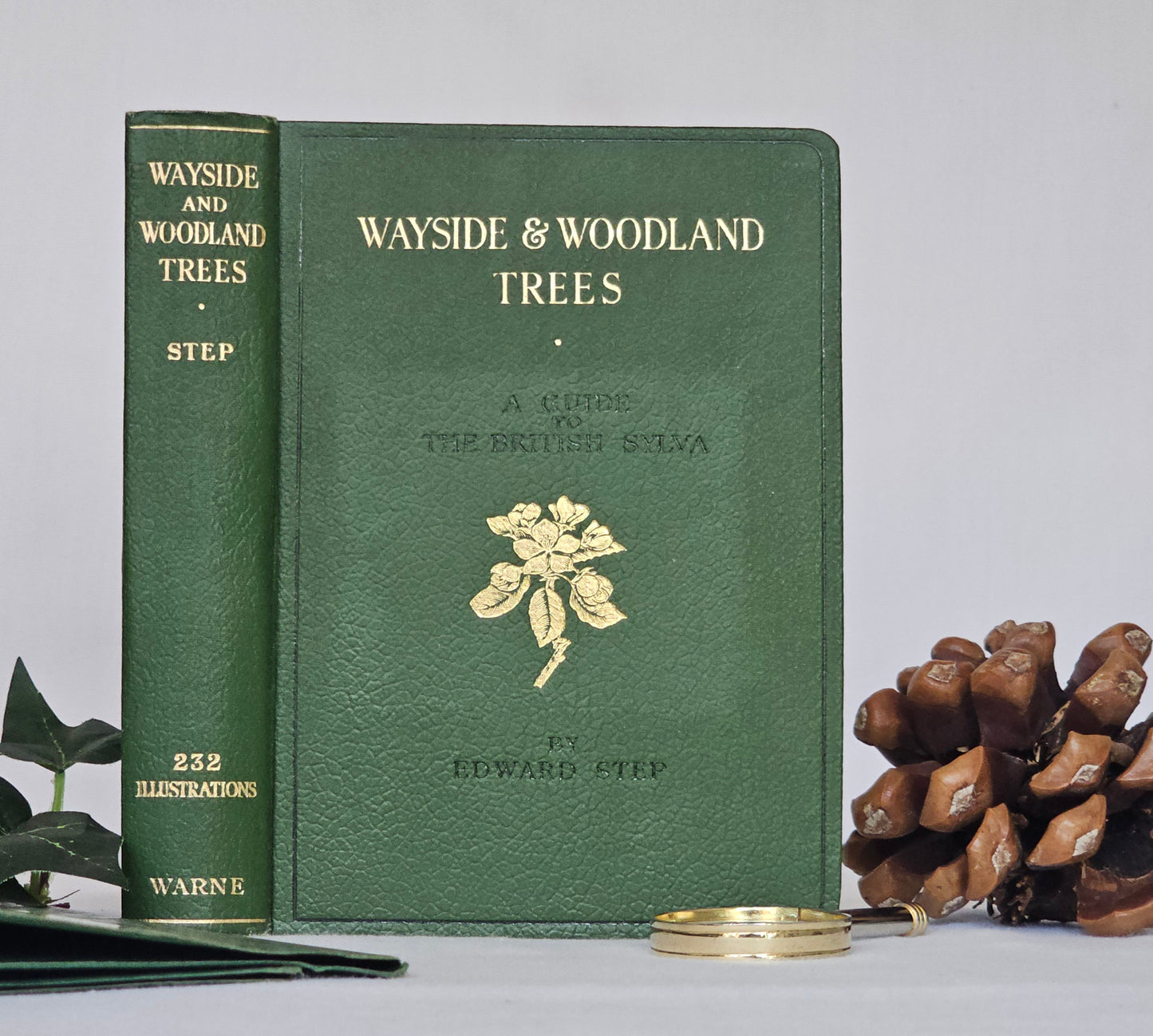 1940 Wayside and Woodland Trees by Edward Step / 24 Colour Plates