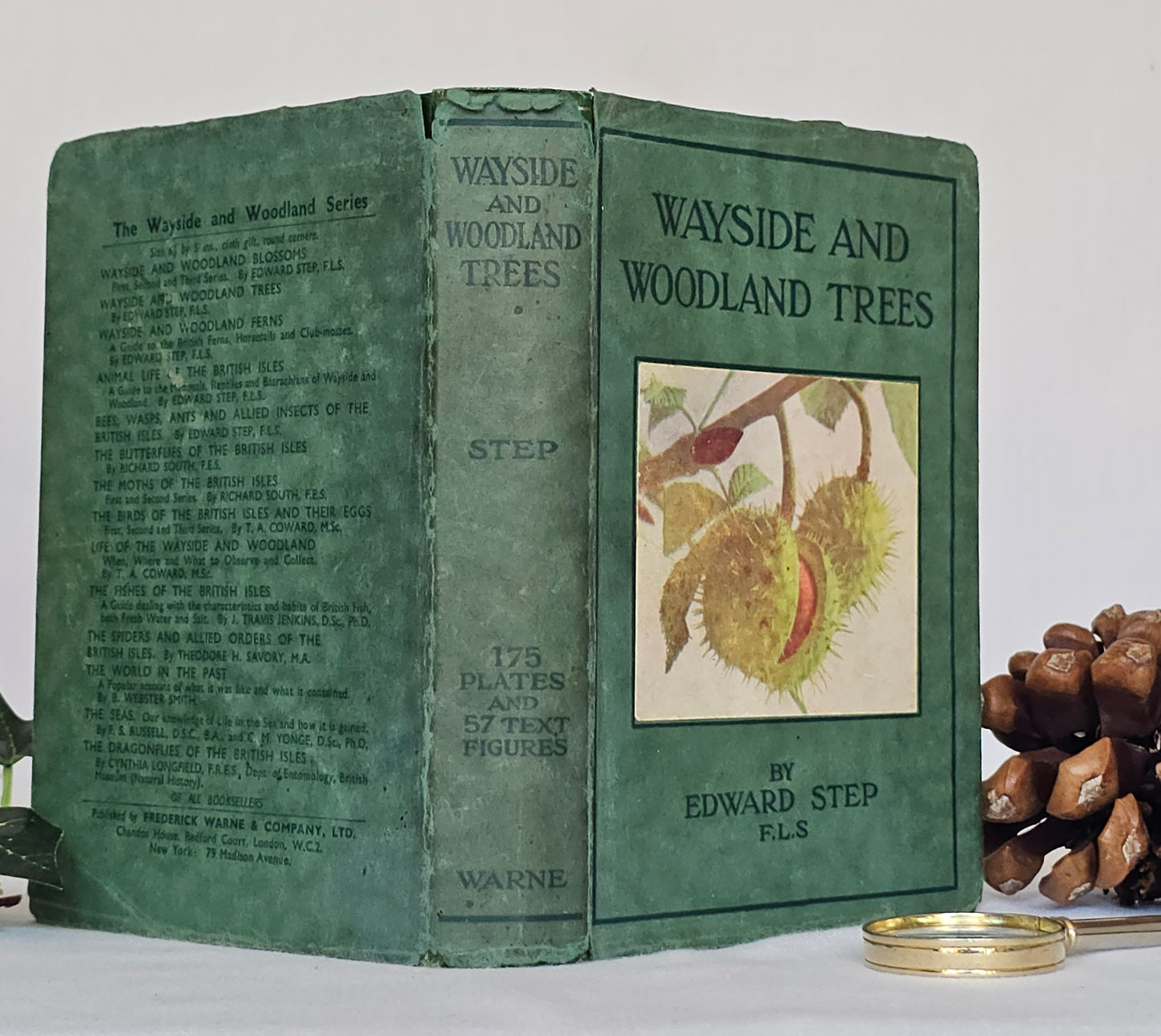 1940 Wayside and Woodland Trees by Edward Step / 24 Colour Plates
