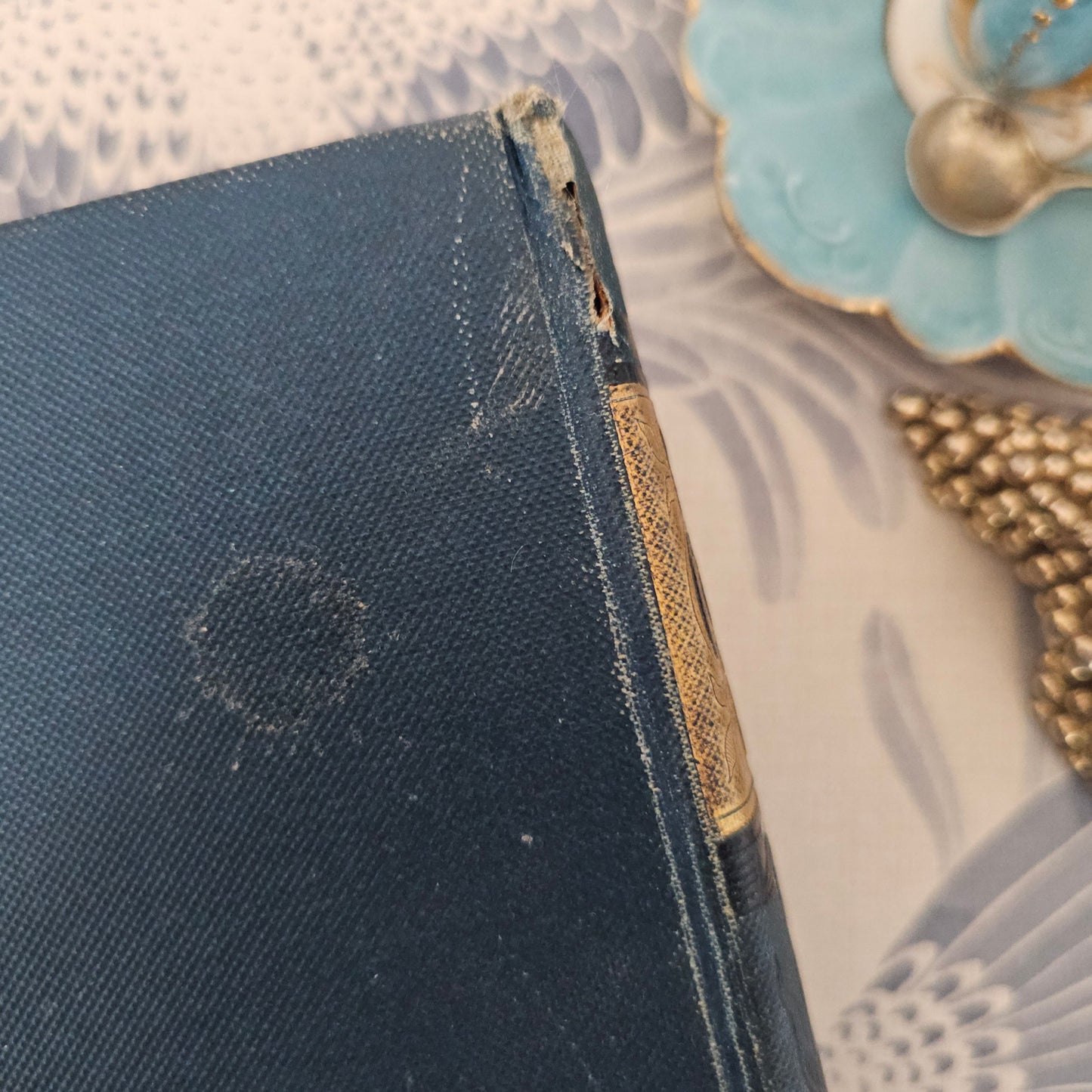 Antique Cookery Book: Warne's Model, 1920s, Household Management, Six Colour Plates