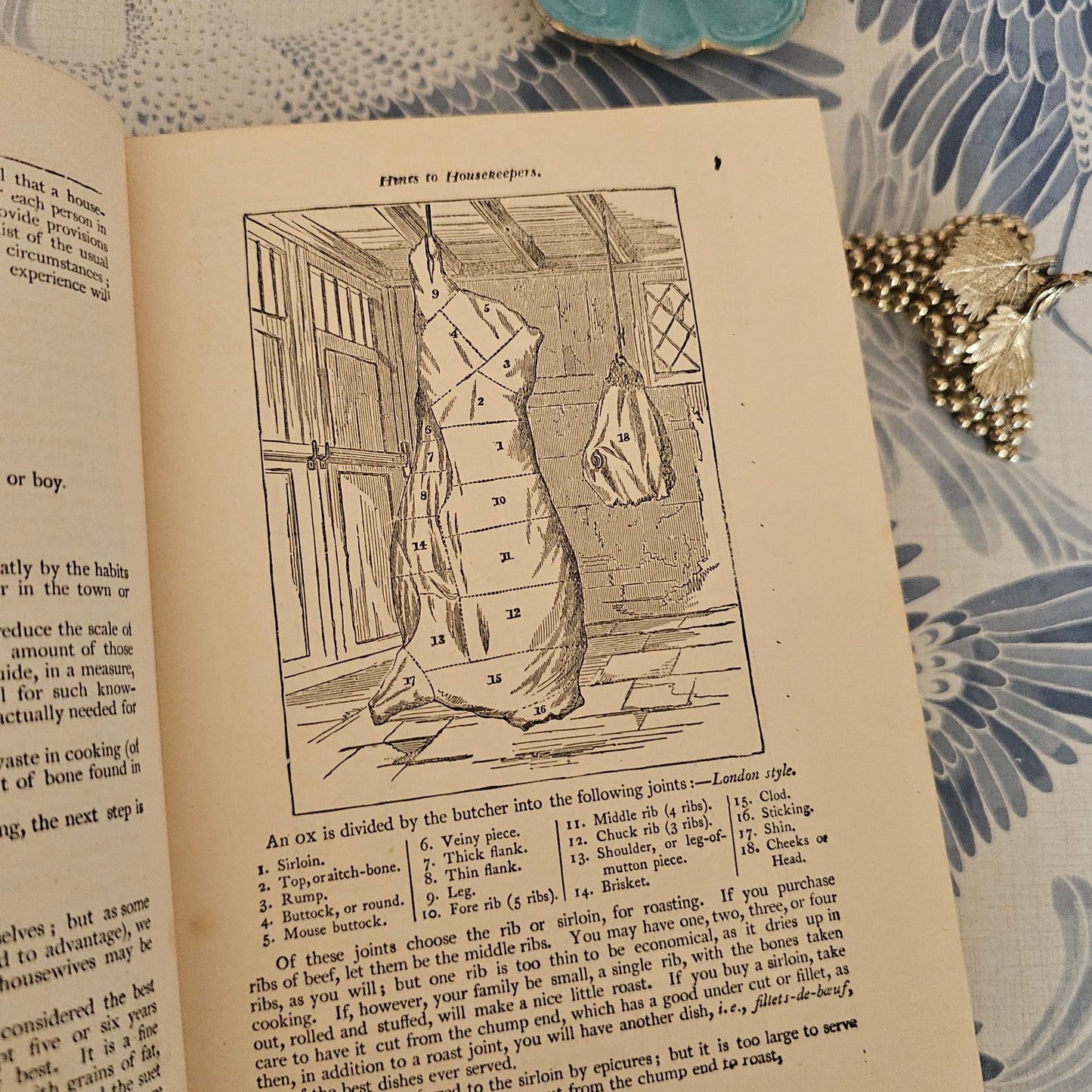 Antique Cookery Book: Warne's Model, 1920s, Household Management, Six Colour Plates