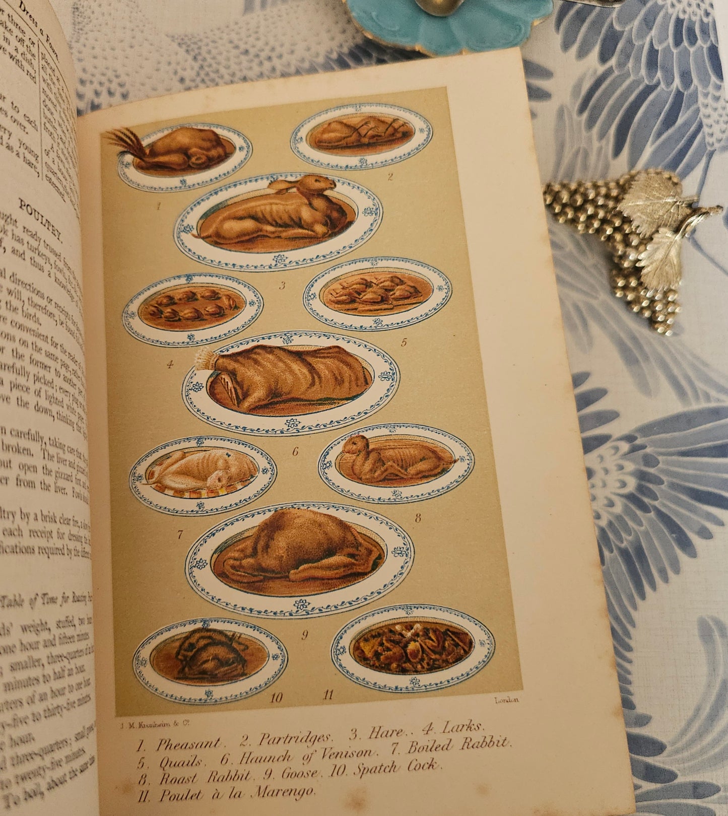 Antique Cookery Book: Warne's Model, 1920s, Household Management, Six Colour Plates