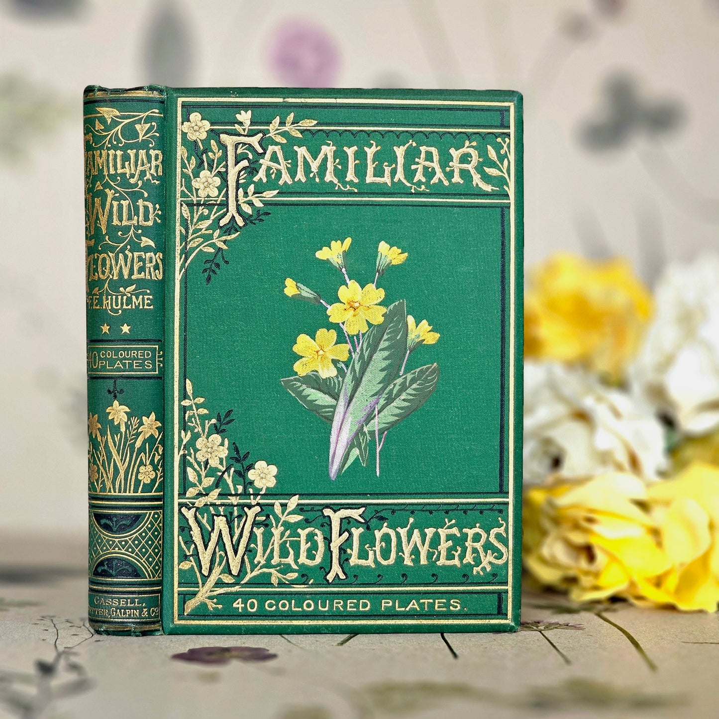 1883 Familiar Wild Flowers by Edward Hulme / Second Series / Richly Illustrated in Colour