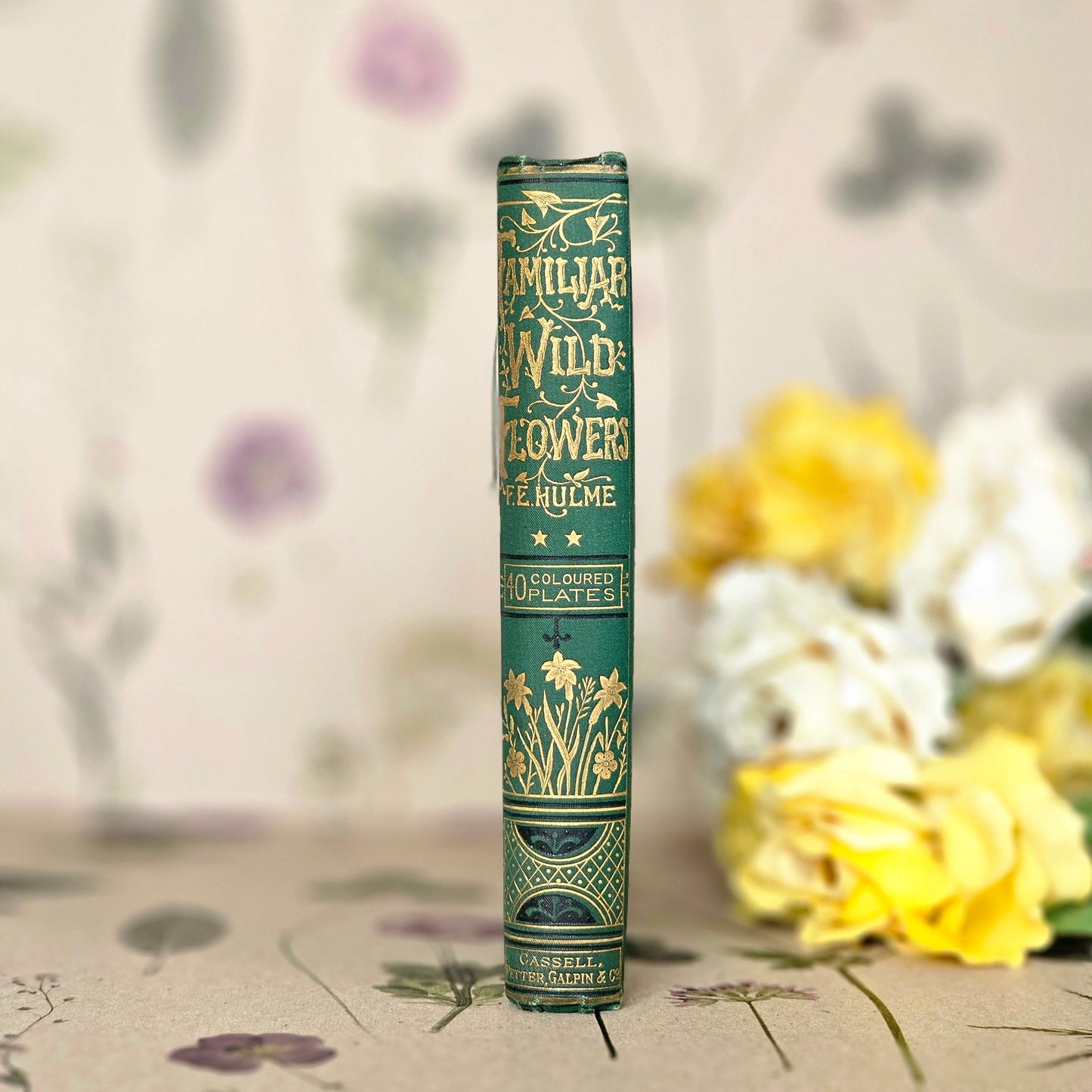 1883 Familiar Wild Flowers by Edward Hulme / Second Series / Richly Illustrated in Colour