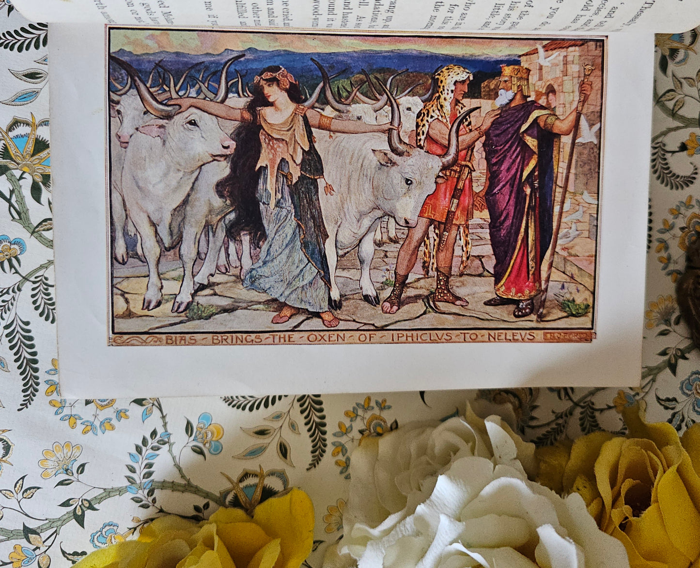 1911 The All Sorts of Stories Book by Mrs Lang / Beautiful Antique Book / Richly Illustrated