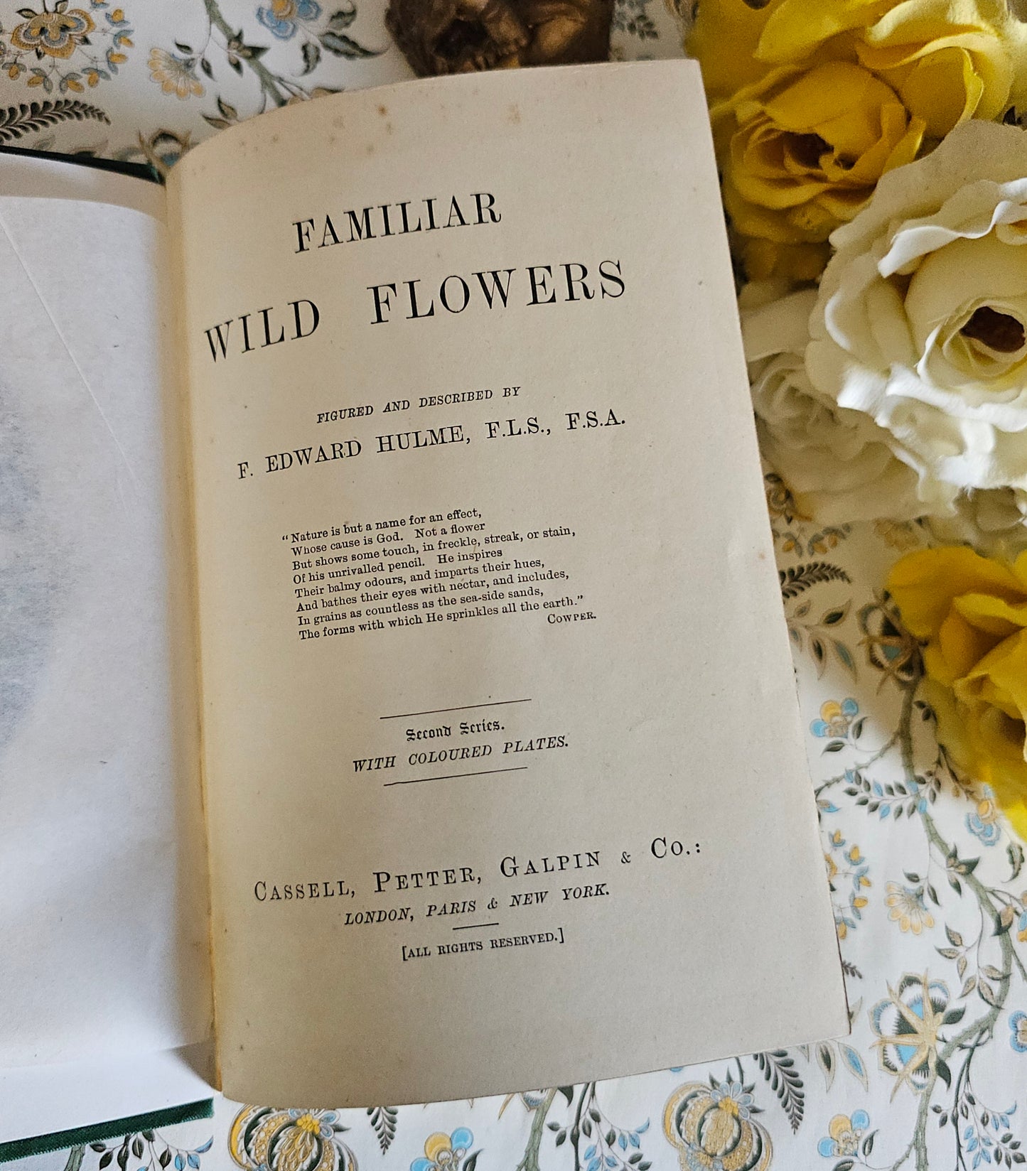 1883 Familiar Wild Flowers by Edward Hulme / Second Series / Richly Illustrated in Colour