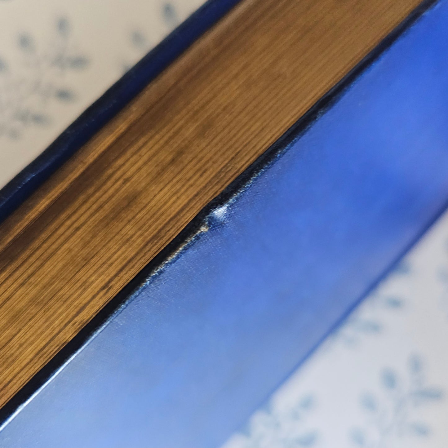 1891 The Blue Poetry Book Ed. Andrew Lang / First Edition / Richly Illustrated