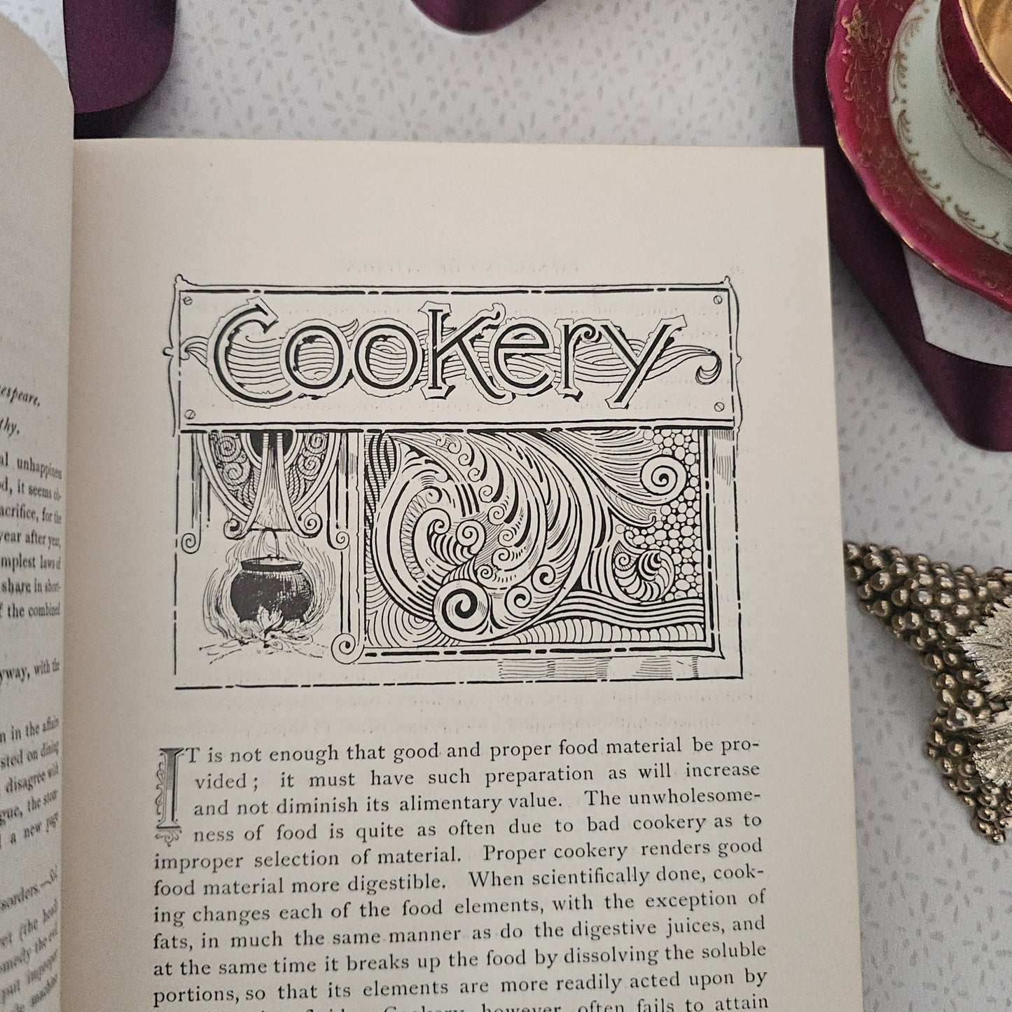 Antique Cookery Book: Science in the Kitchen by Mrs Kellogg
