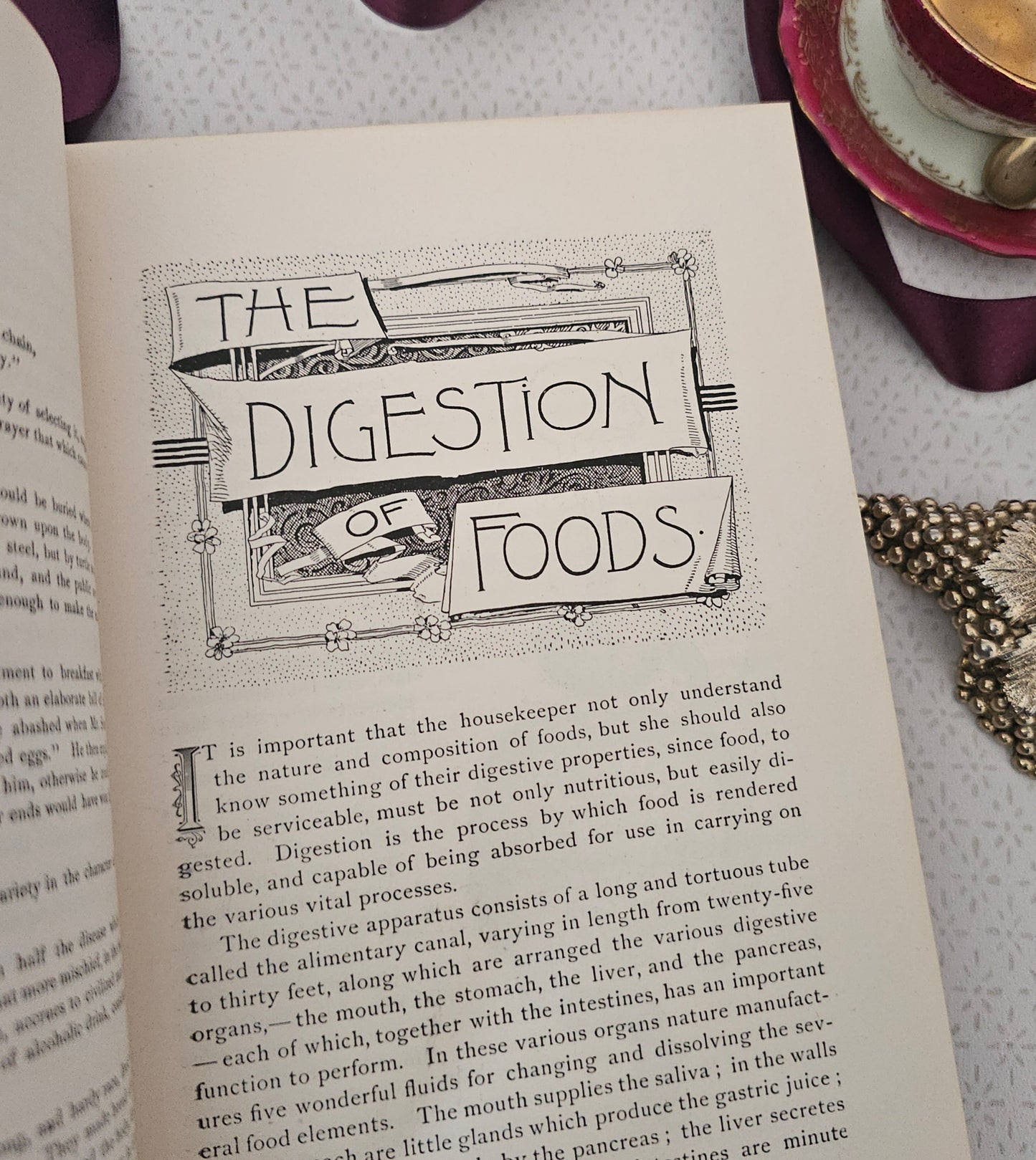 Antique Cookery Book: Science in the Kitchen by Mrs Kellogg