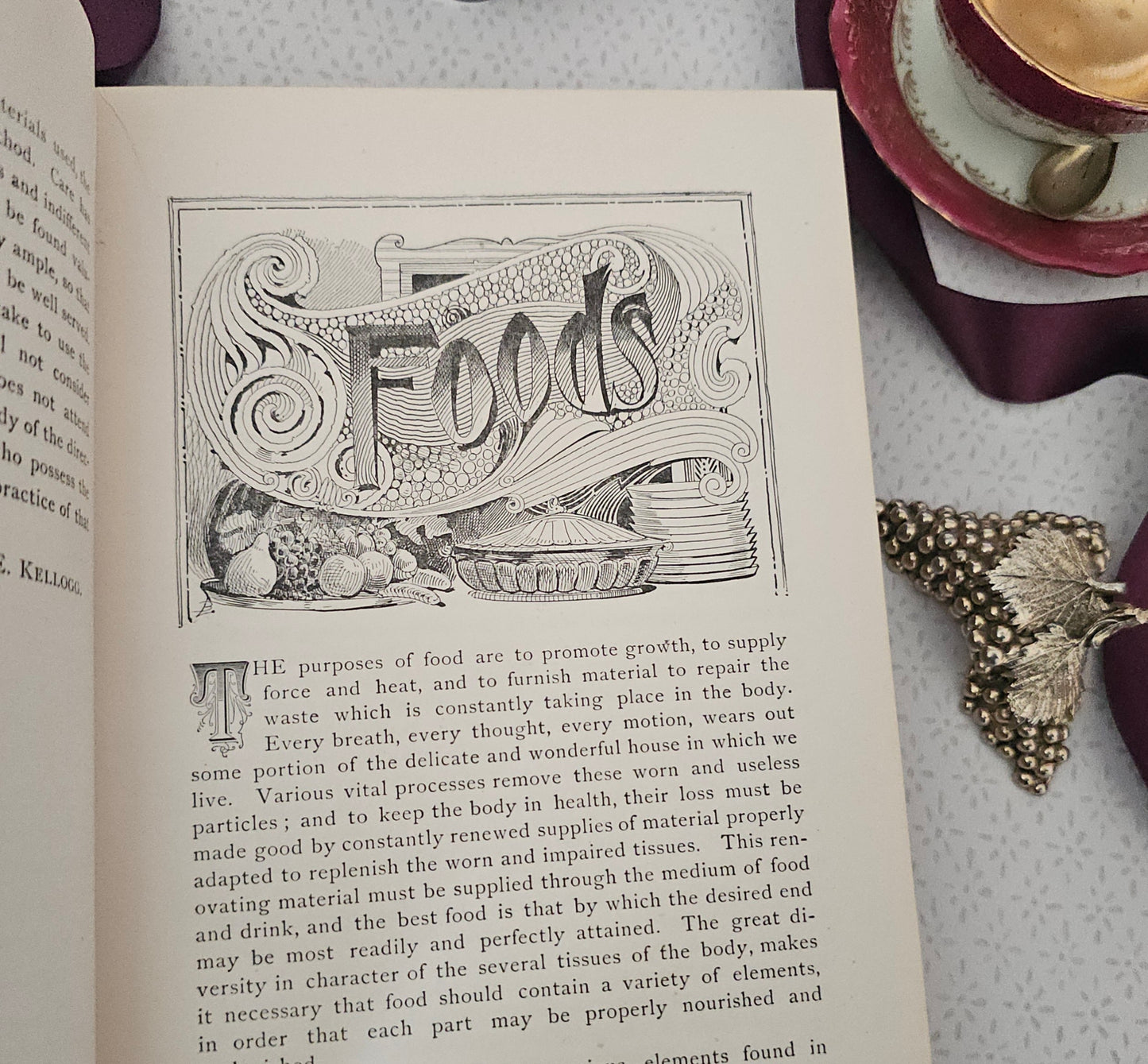 Antique Cookery Book: Science in the Kitchen by Mrs Kellogg