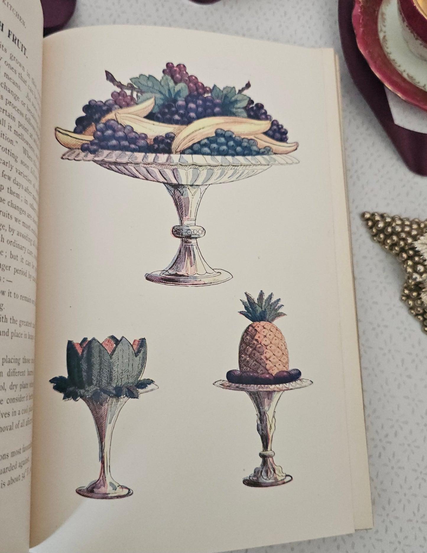 Antique Cookery Book: Science in the Kitchen by Mrs Kellogg