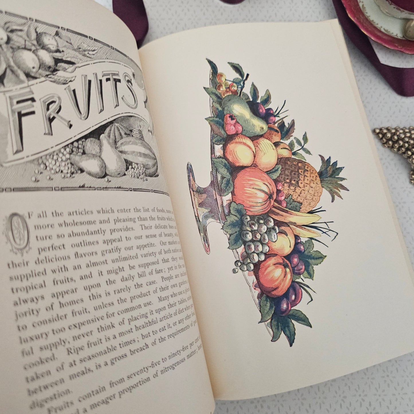 Antique Cookery Book: Science in the Kitchen by Mrs Kellogg