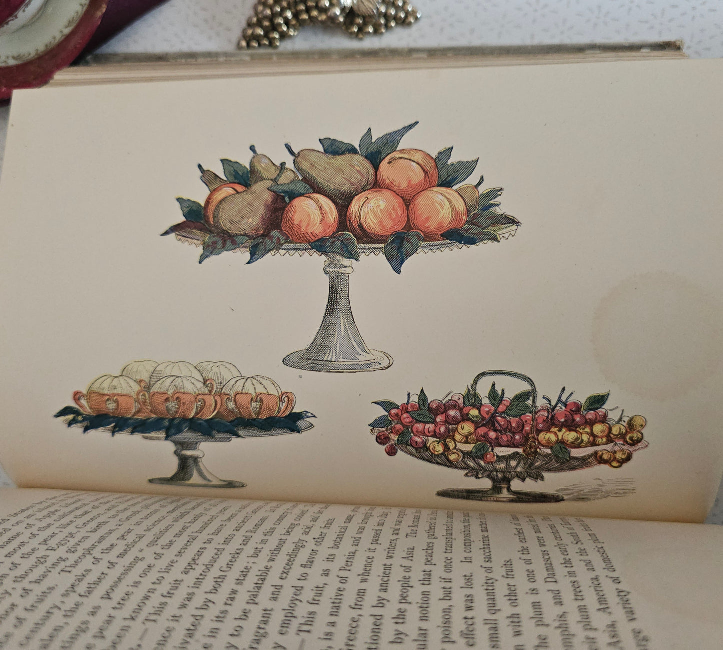 Antique Cookery Book: Science in the Kitchen by Mrs Kellogg